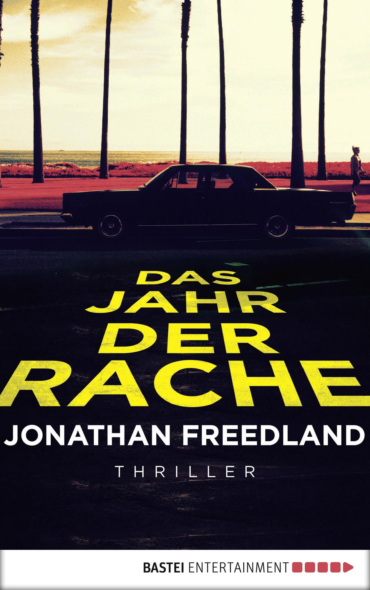 Das Jahr der Rache: Thriller