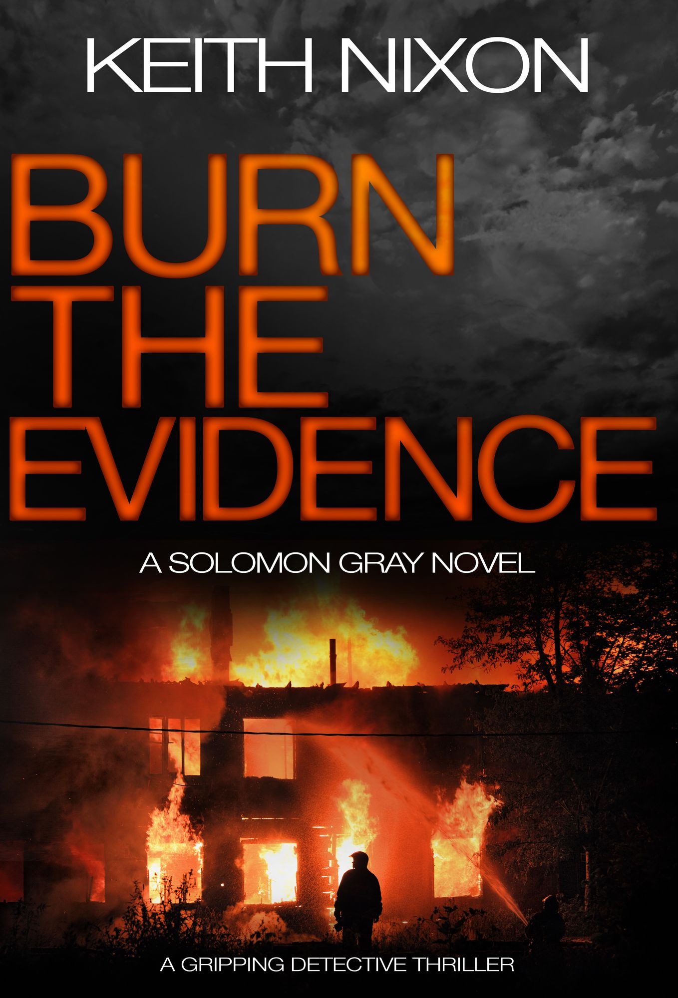 Burn the Evidence: A Gripping Detective Thriller