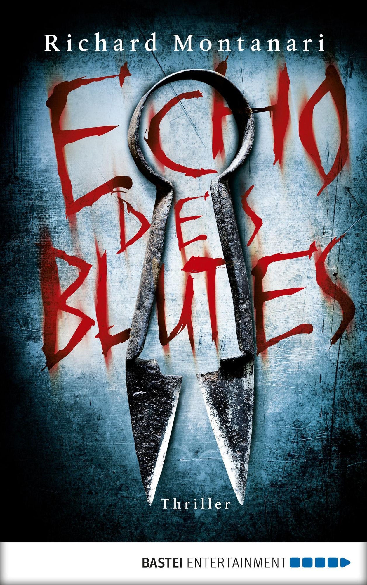 Echo des Blutes: Thriller
