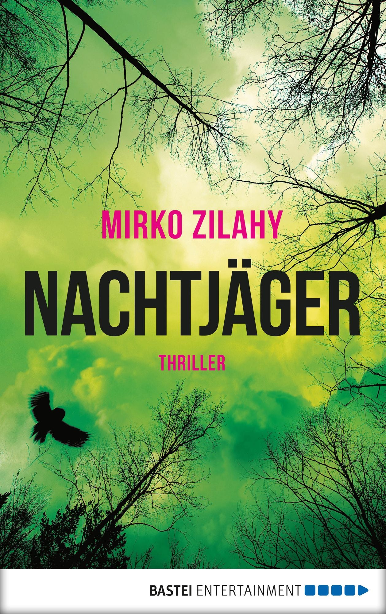 Nachtjäger: Thriller