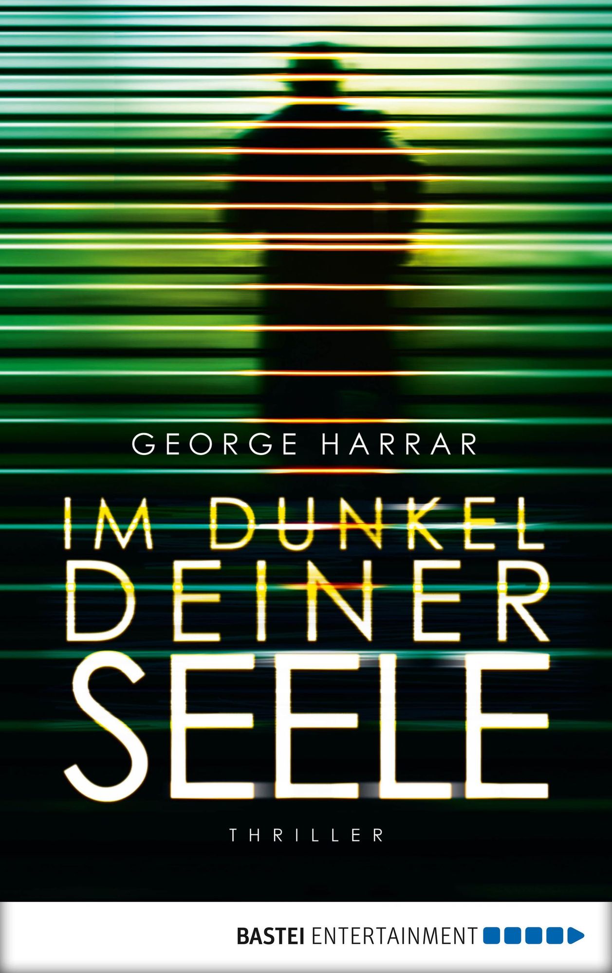Im Dunkel deiner Seele: Roman