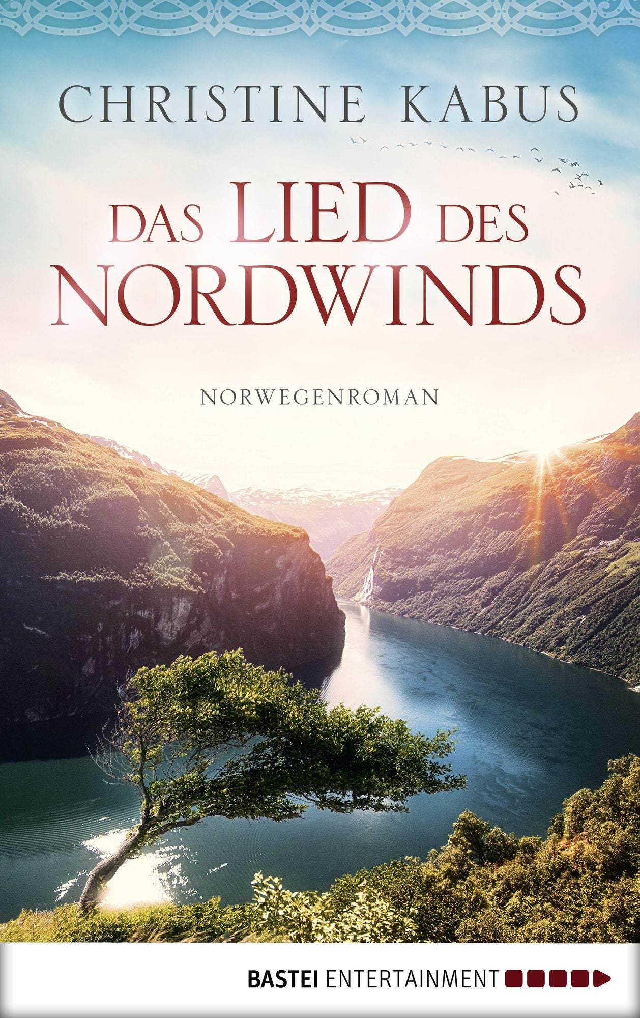 Das Lied des Nordwinds: Norwegenroman