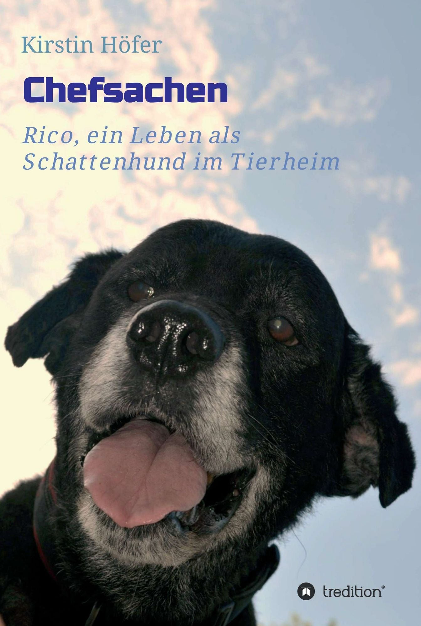 Chefsachen: Rico - ein Leben als Schattenhund im Tierheim