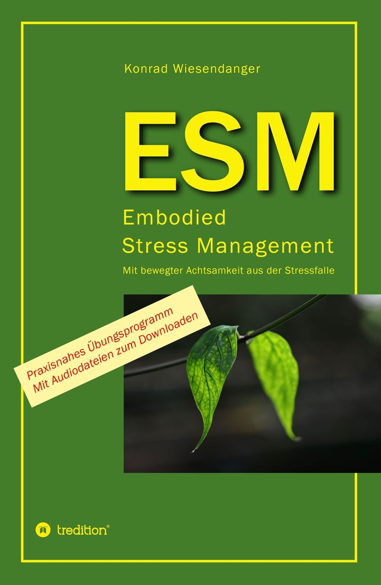 ESM-Embodied Stress Management: Mit bewegter Achtsamkeit aus der Stressfalle