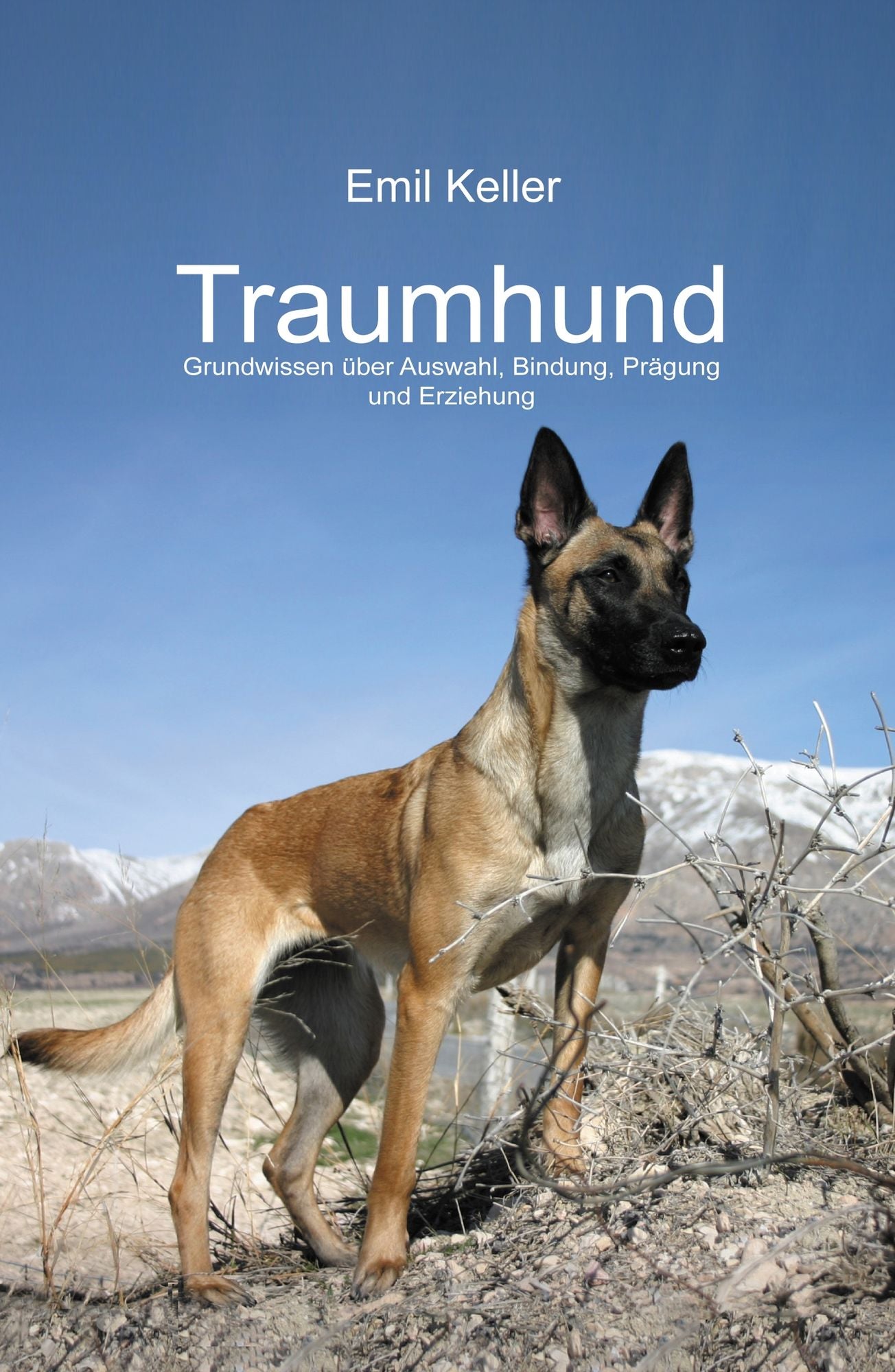 Traumhund: Grundwissen über Auswahl, Bindung, Prägung und Erziehung