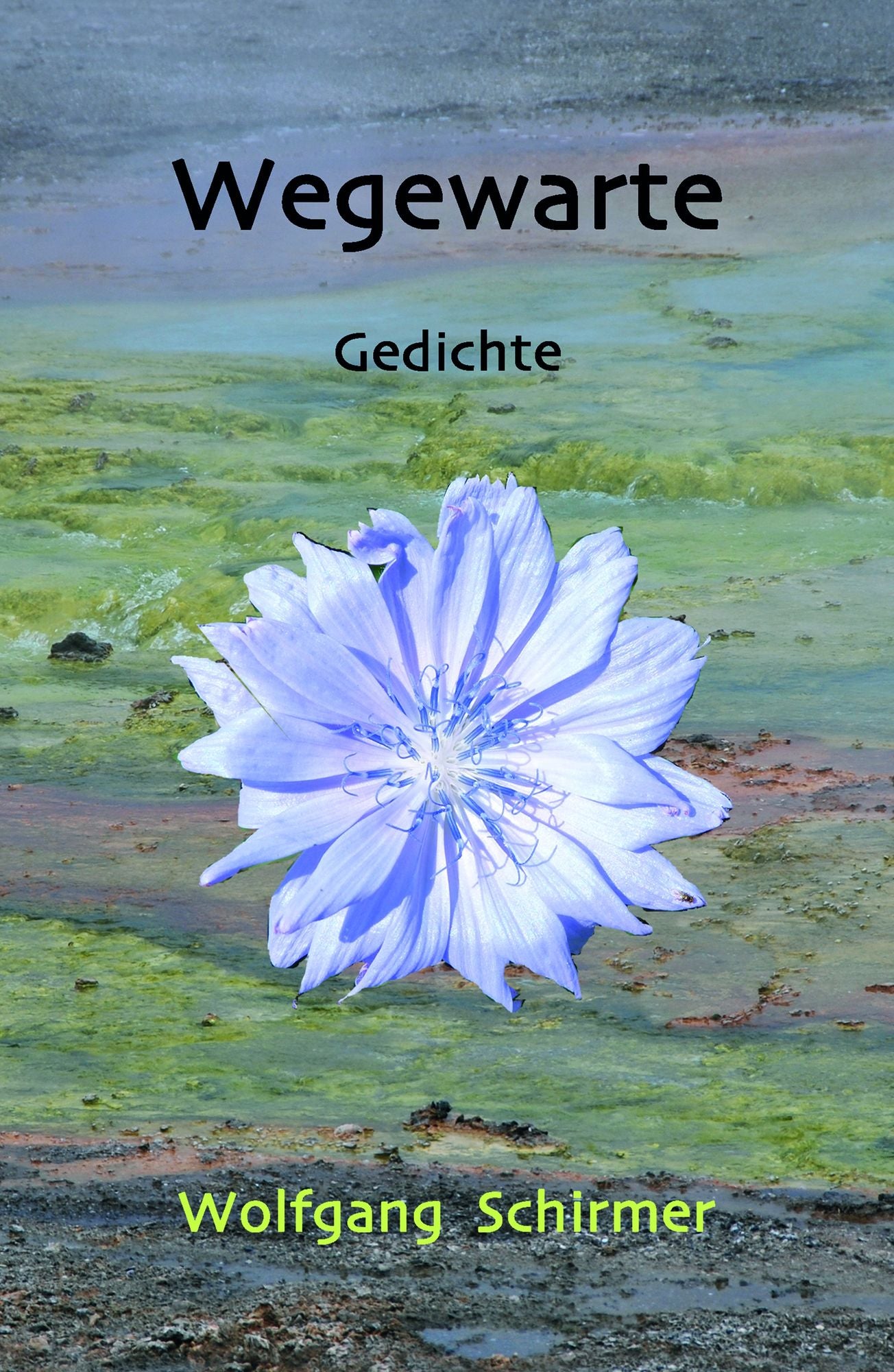 Wegewarte: Gedichte