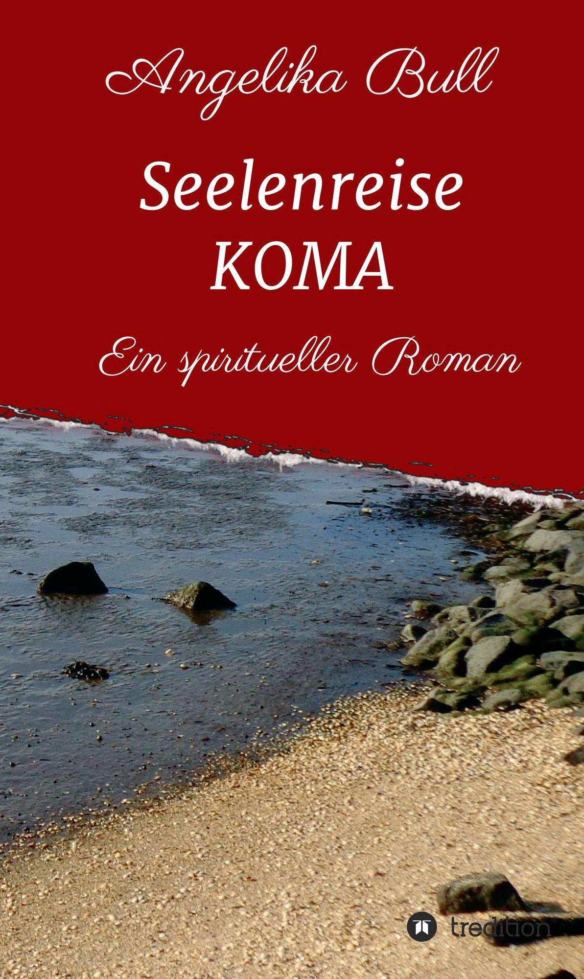 Seelenreise KOMA: Ein spiritueller Roman