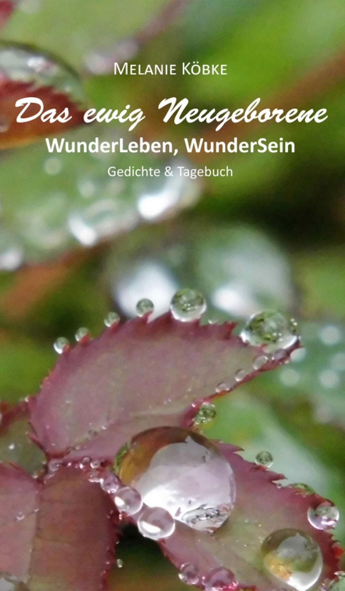 Das ewig Neugeborene: WunderLeben, WunderSein - Gedichte & Tagebuch