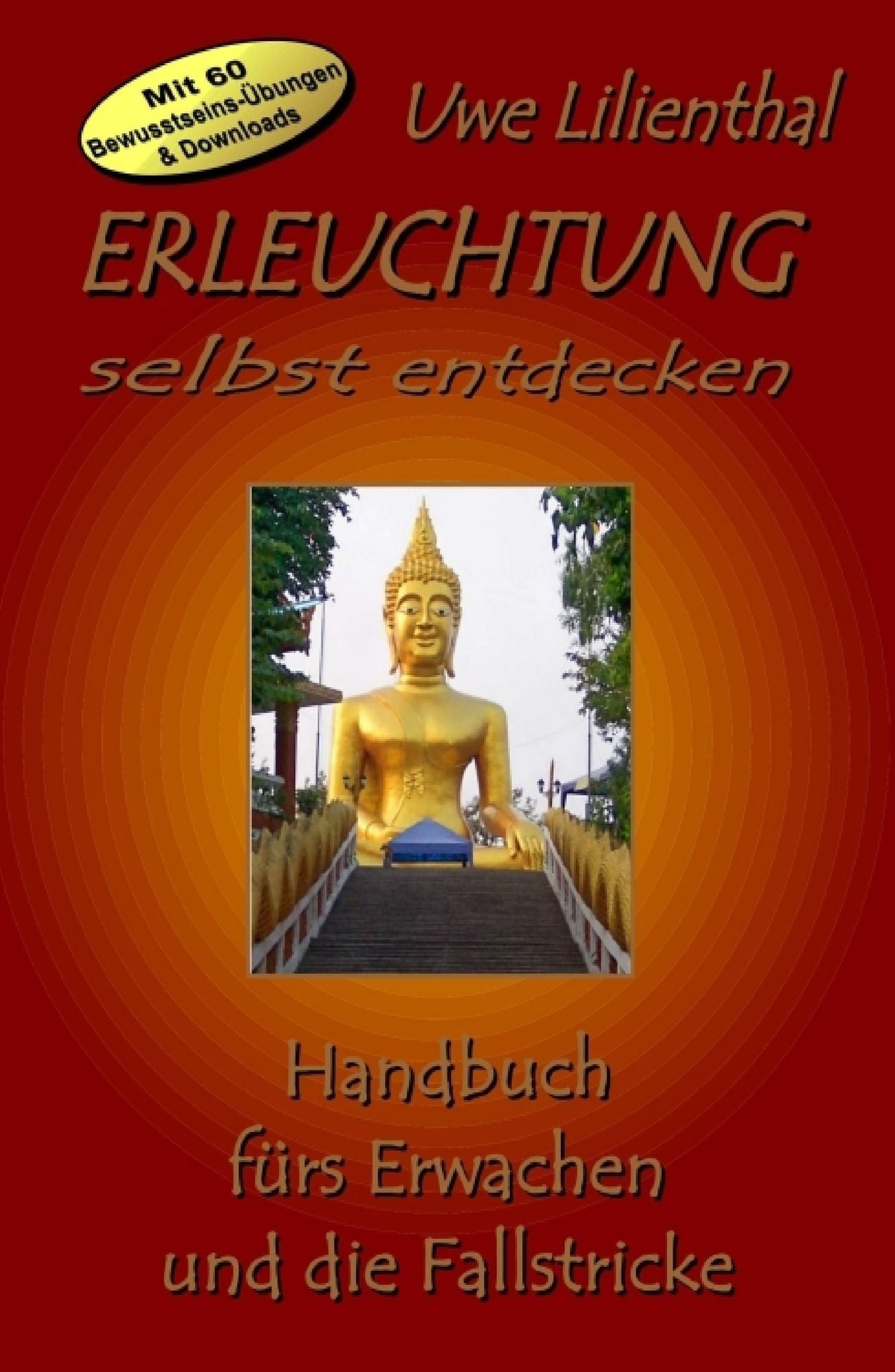 Erleuchtung selbst entdecken: Handbuch für das Erwachen