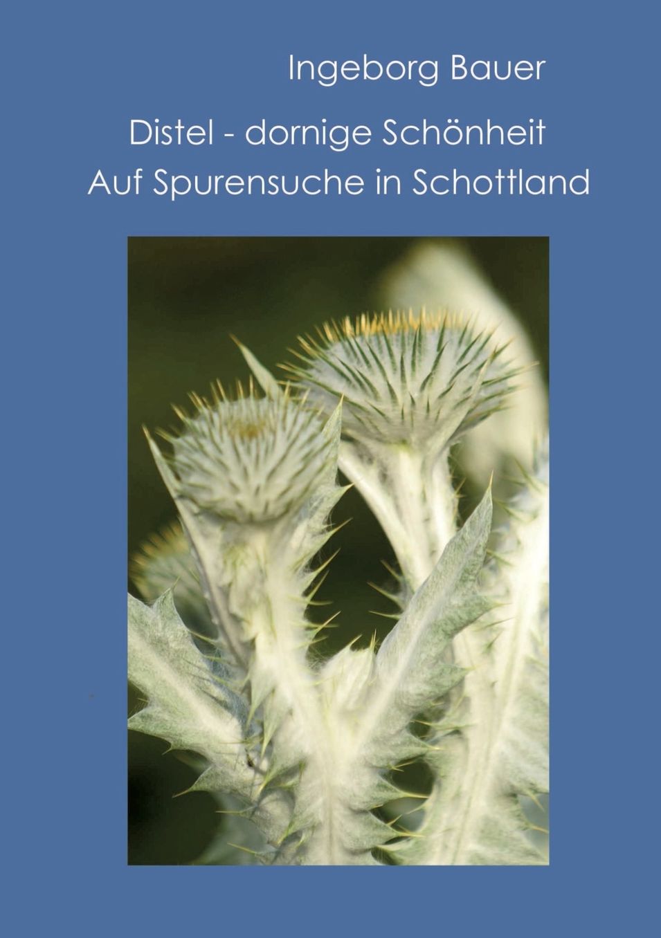 Distel - dornige Sch nheit