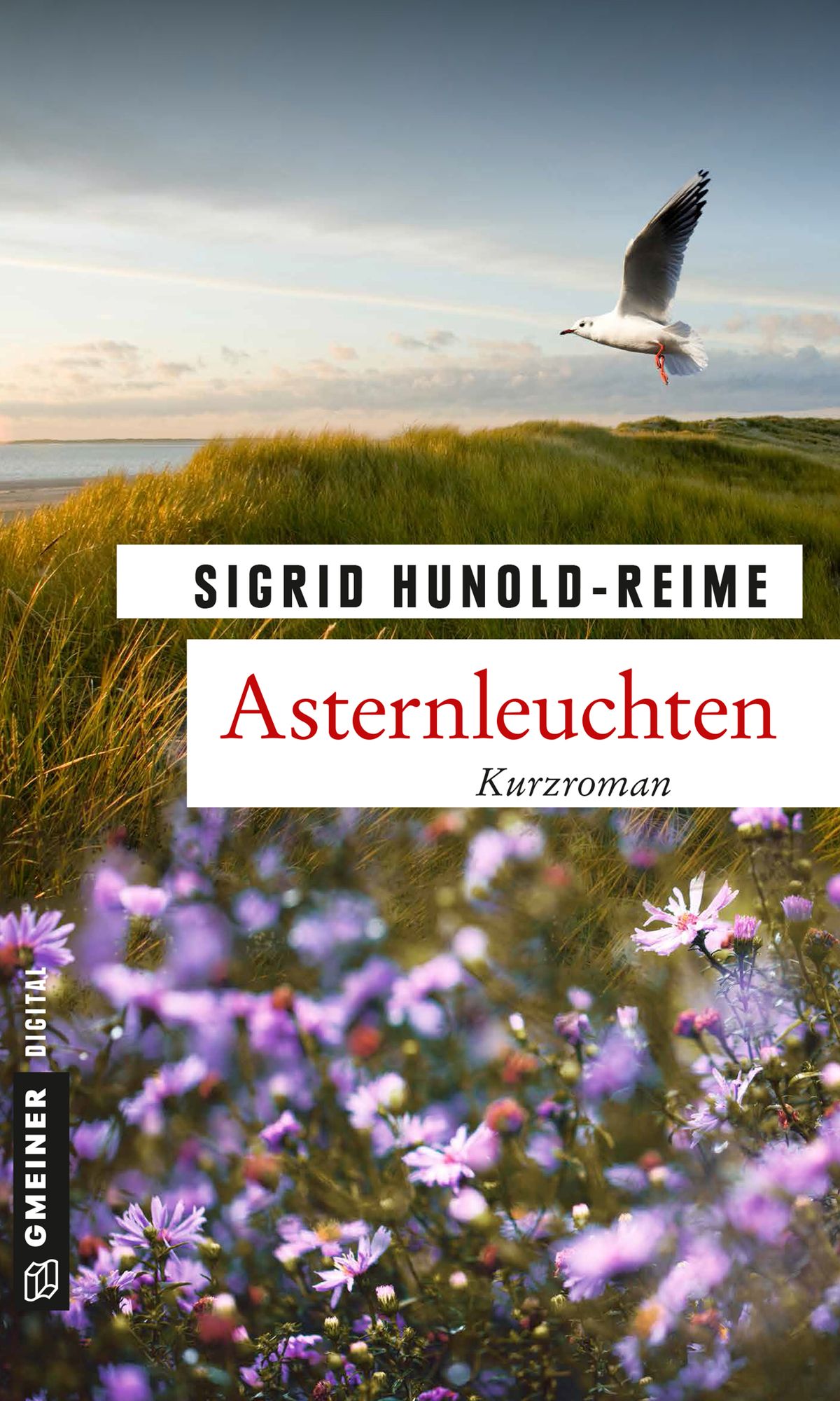 Asternleuchten: Kurzroman