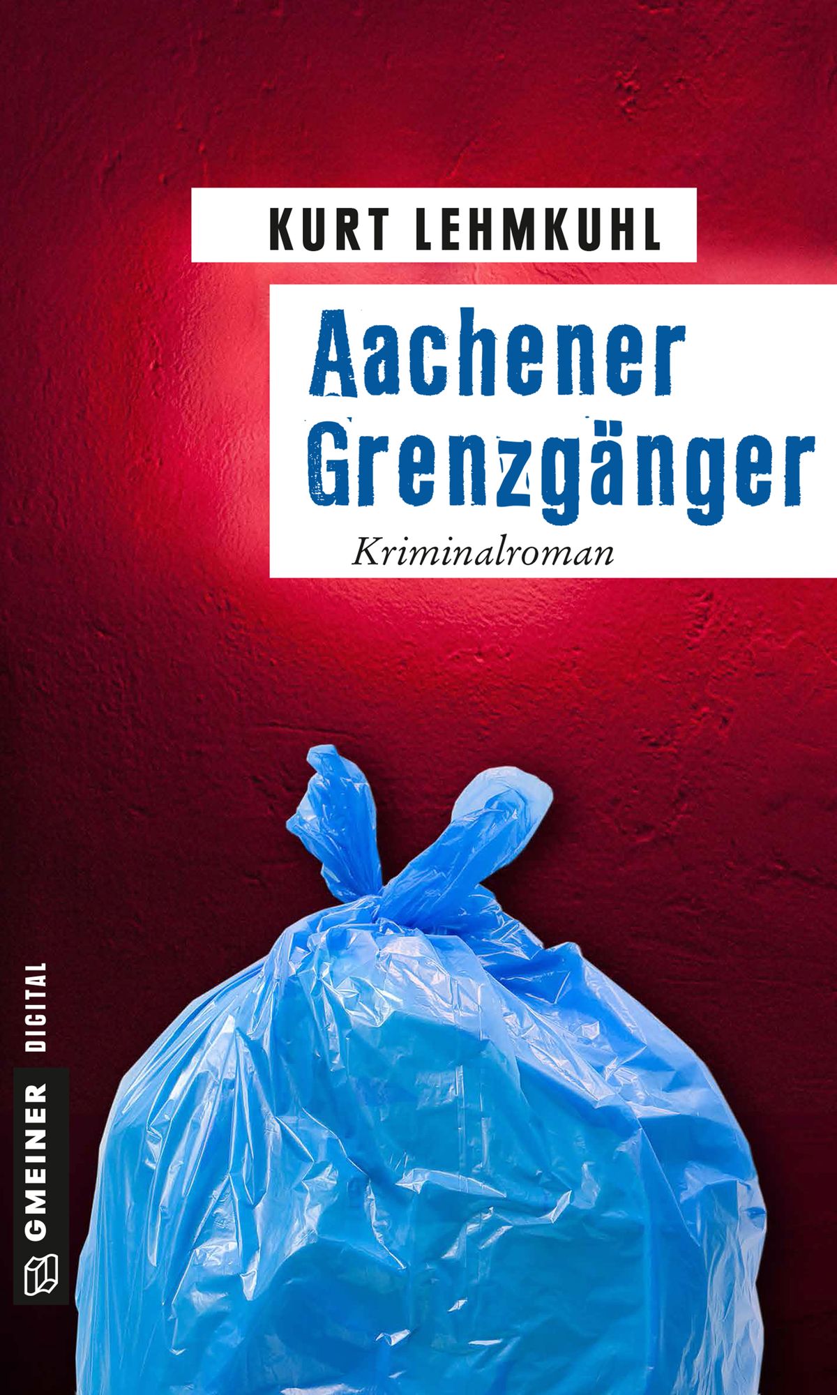 Aachener Grenzgänger: Kriminalroman
