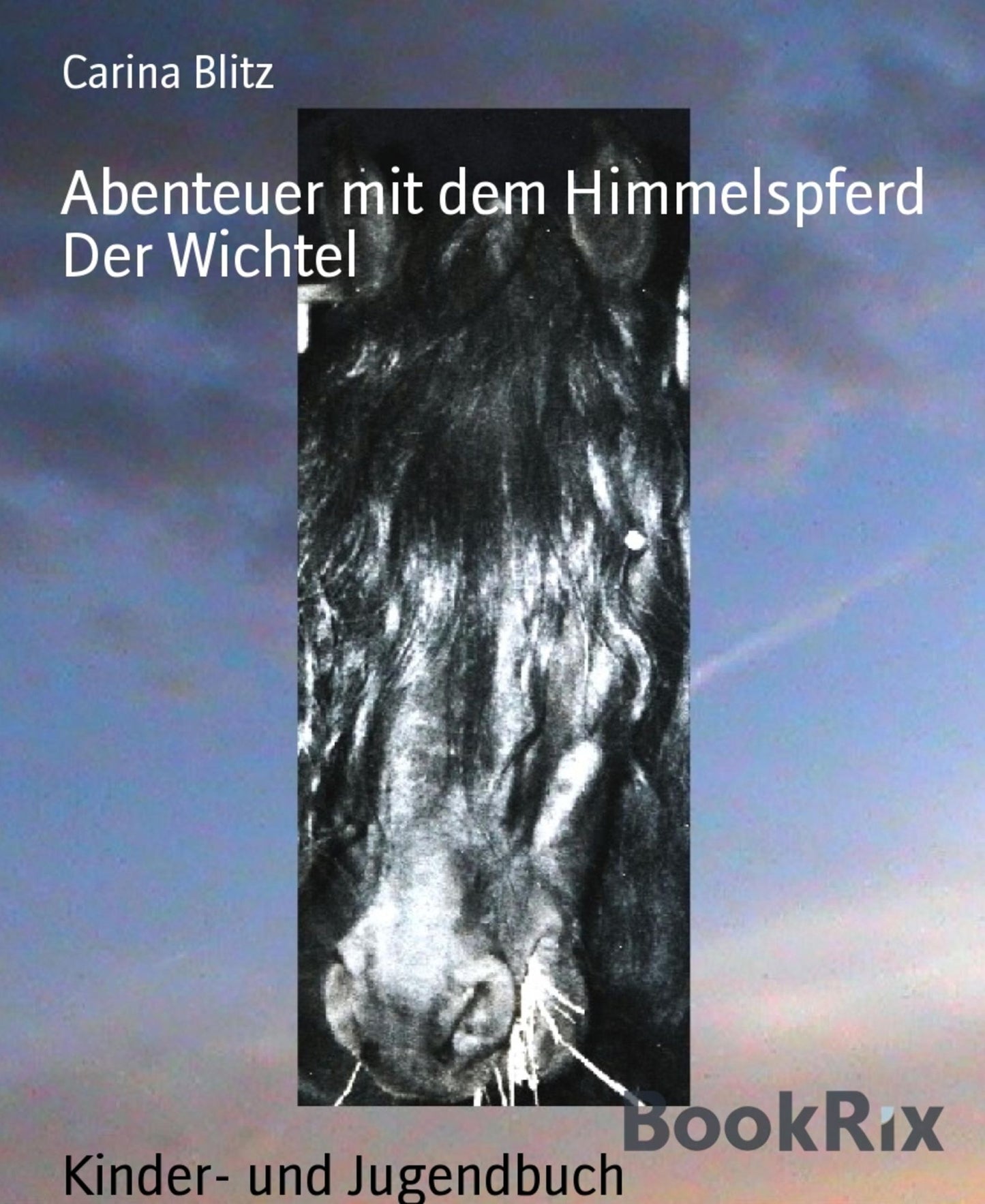 Abenteuer mit dem Himmelspferd: Der Wichtel