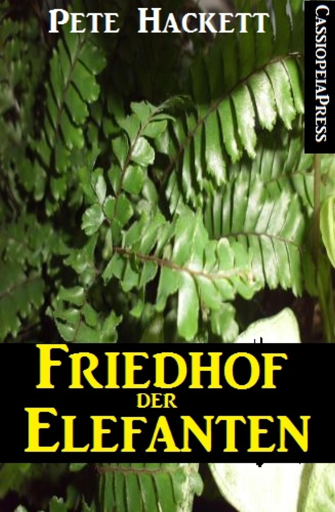 Friedhof der Elefanten: Cassiopeiapress Spannung