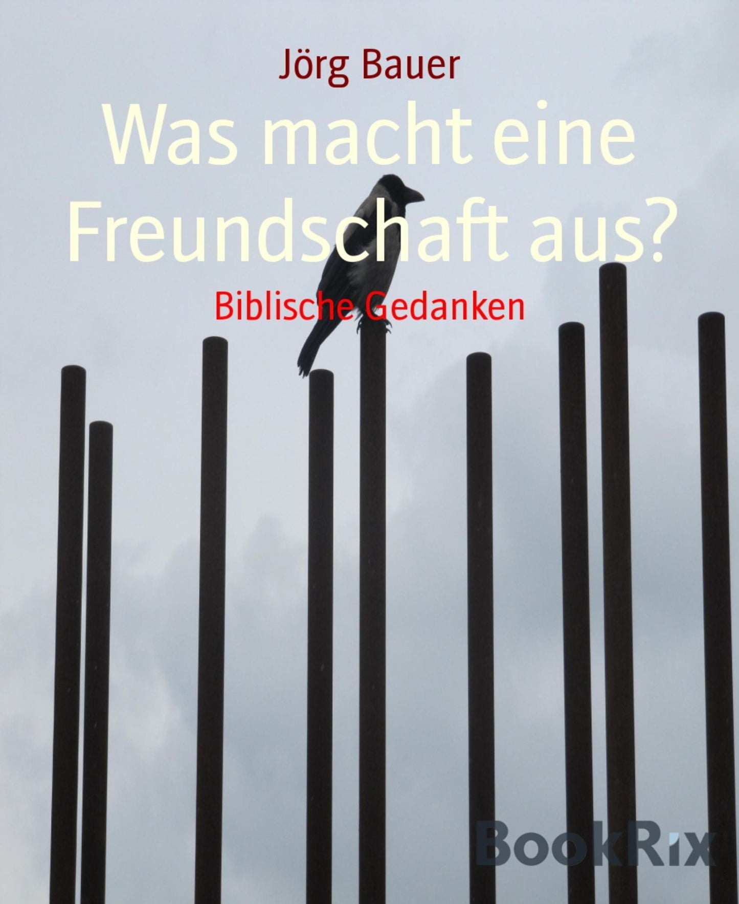 Was macht eine Freundschaft aus?: Biblische Gedanken