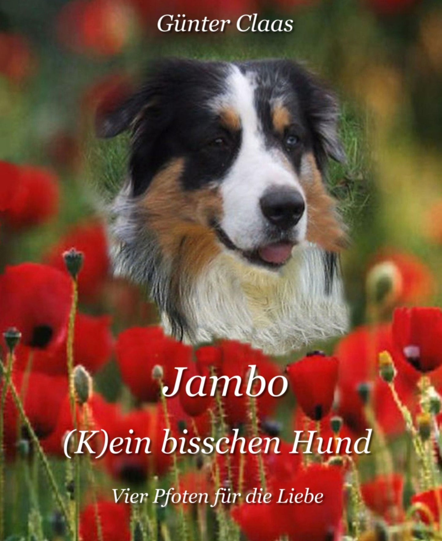 Jambo (K)ein bisschen Hund: Vier Pfoten für die Liebe