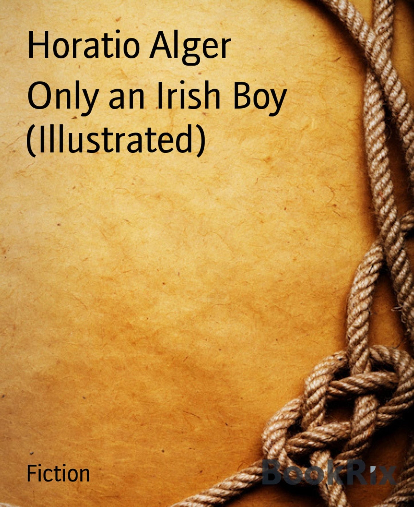 Only an Irish Boy (Illustrated)