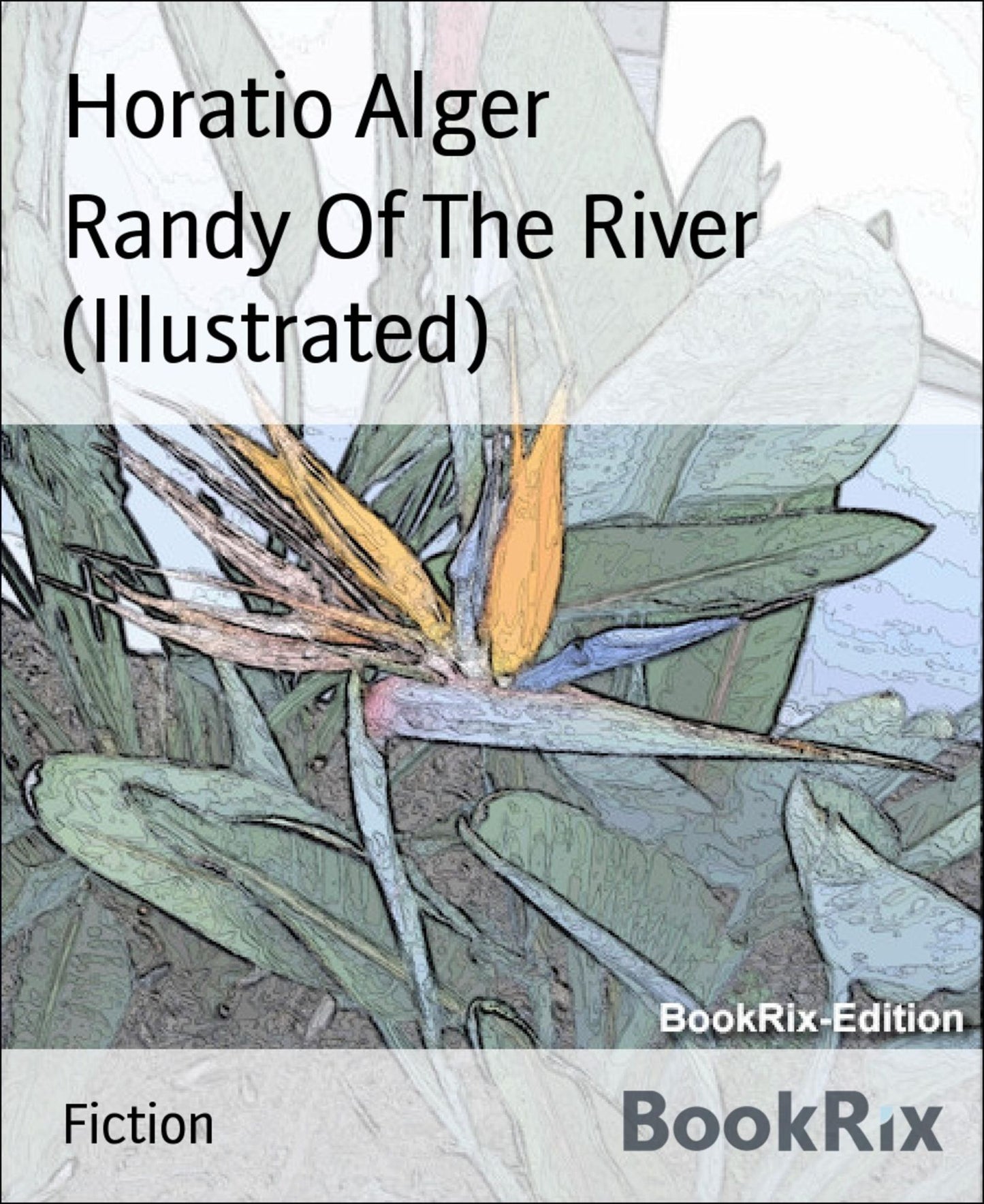 Randy Of The River (Illustrated)