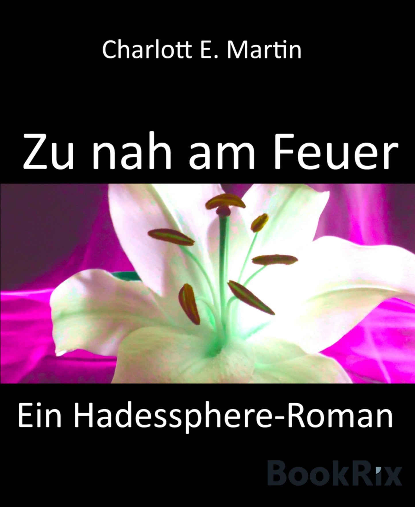 Zu nah am Feuer: Ein Hadessphere-Roman