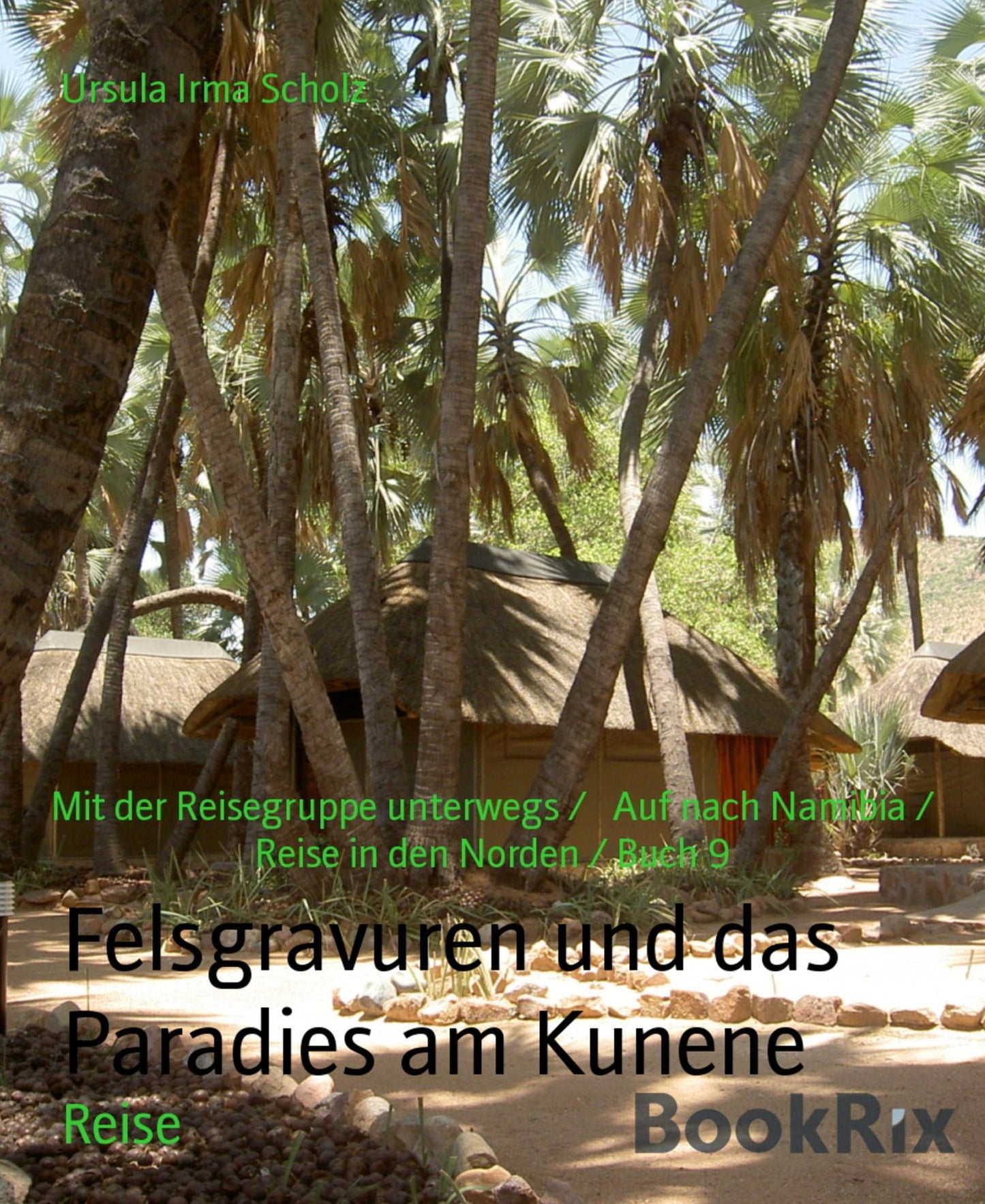 Felsgravuren und das Paradies am Kunene: Mit der Reisegruppe im Kaokoveld / Auf nach Namibia / Reise in den Norden / Buch 9