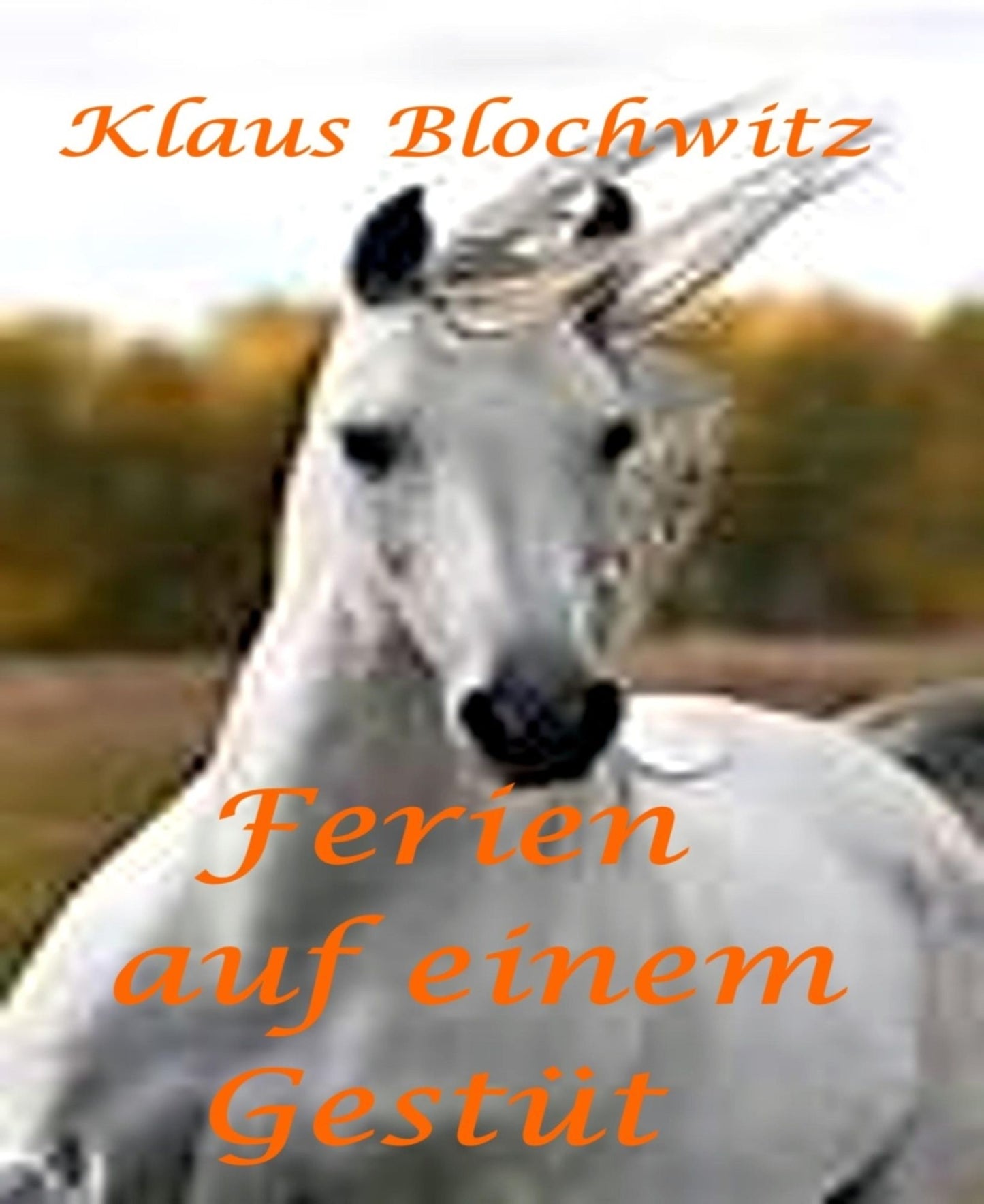 Ferien auf einem Gestüt
