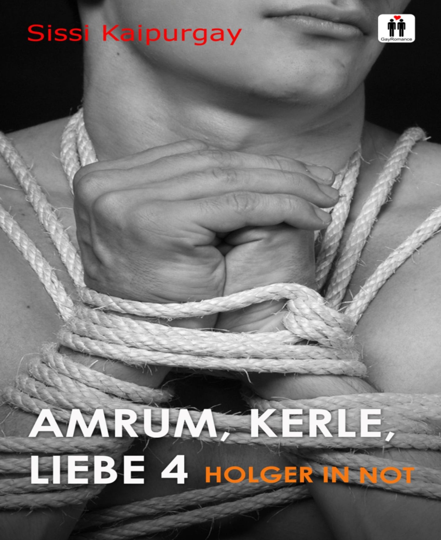 Amrum, Kerle, Liebe 4: Holger in Not
