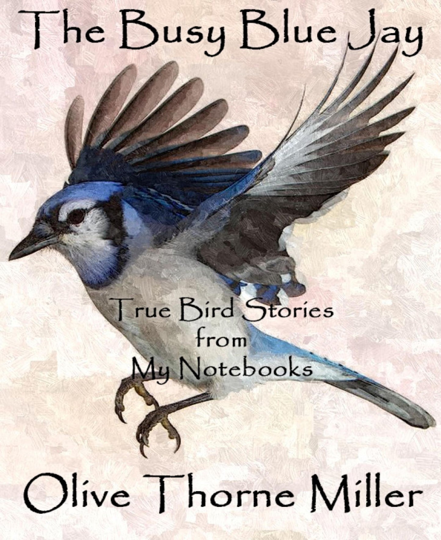 The Busy Blue Jay: True Bird Stories from My Notebooks