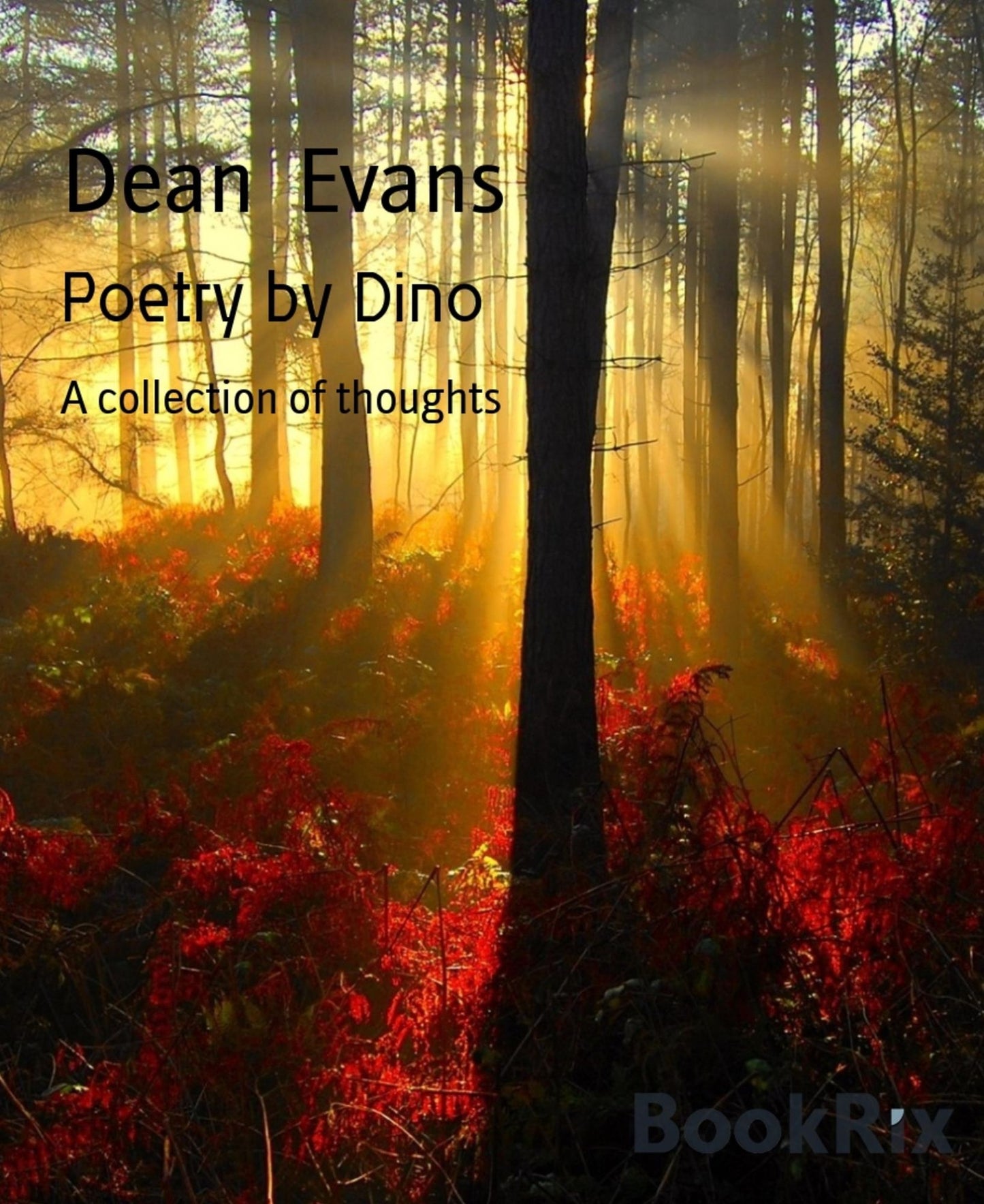 Poetry by Dino: A collection of thoughts
