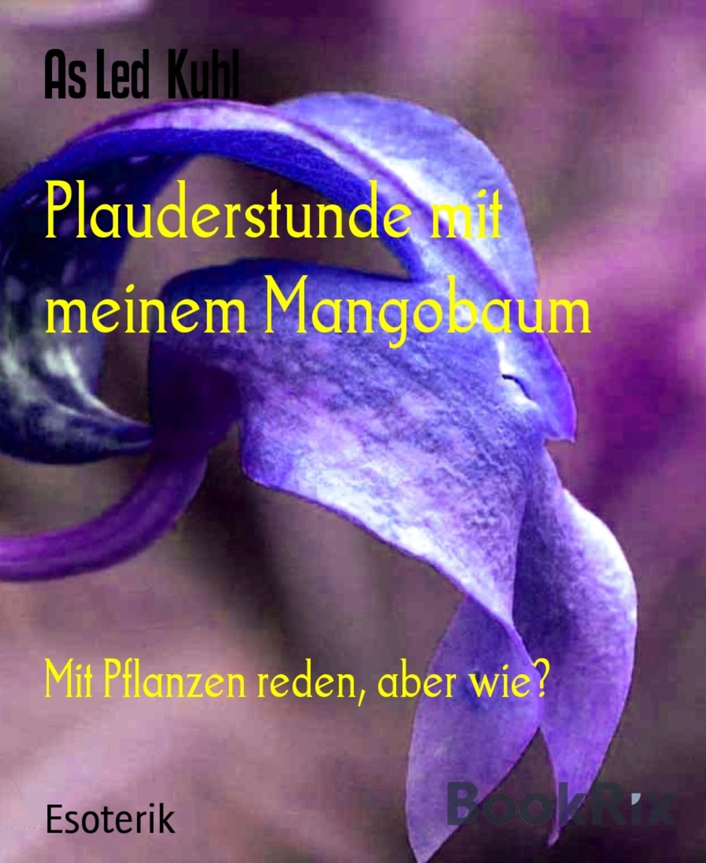 Plauderstunde mit meinem Mangobaum: Mit Pflanzen reden, aber wie?