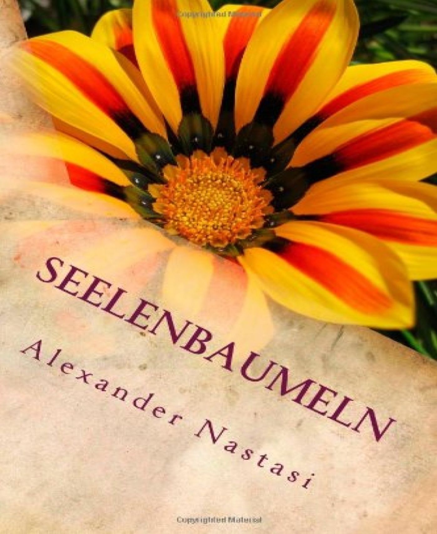 Seelenbaumeln: Lyrik und Texte aus Heidelberg