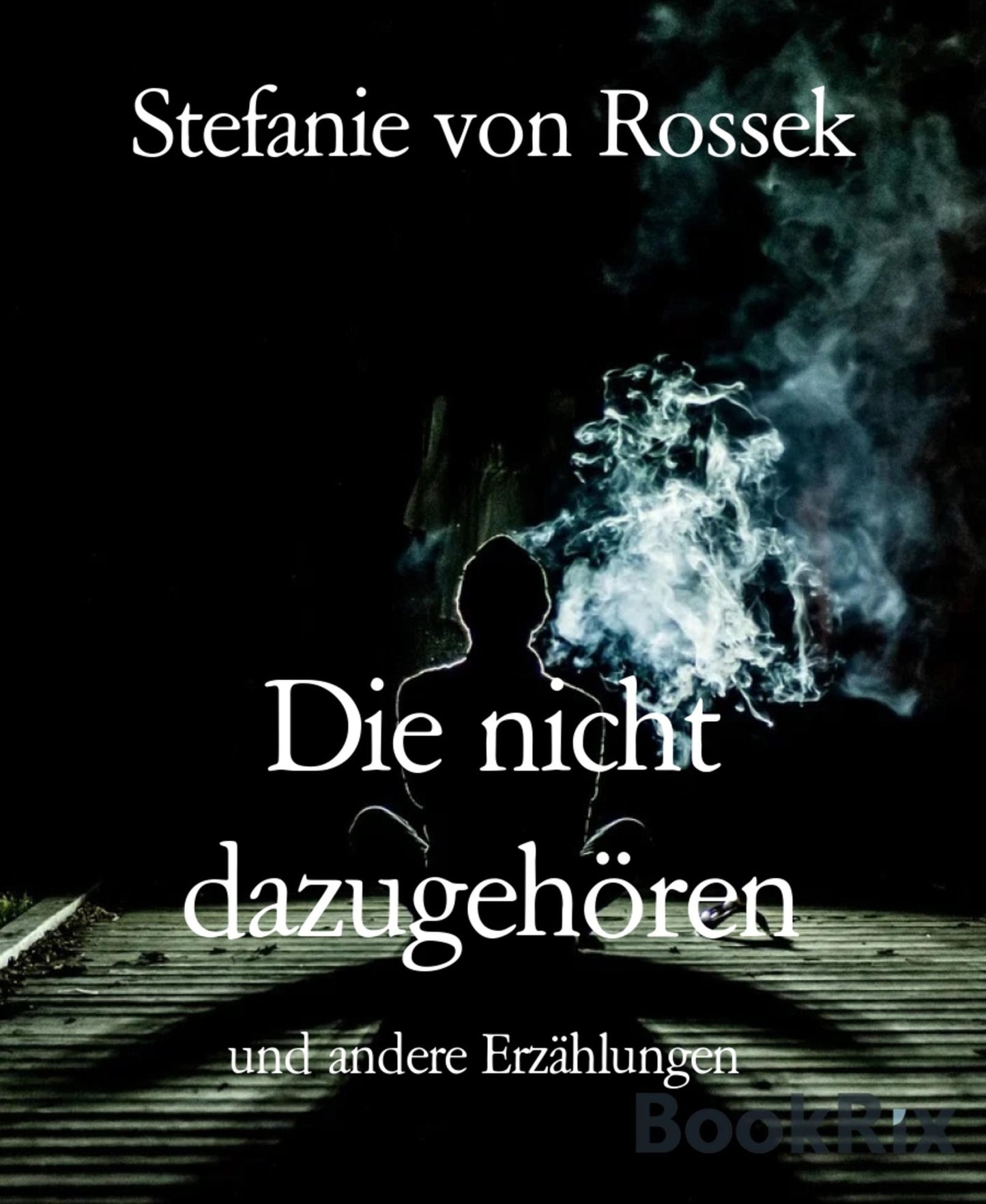 Die nicht dazugehören: Erzählungen