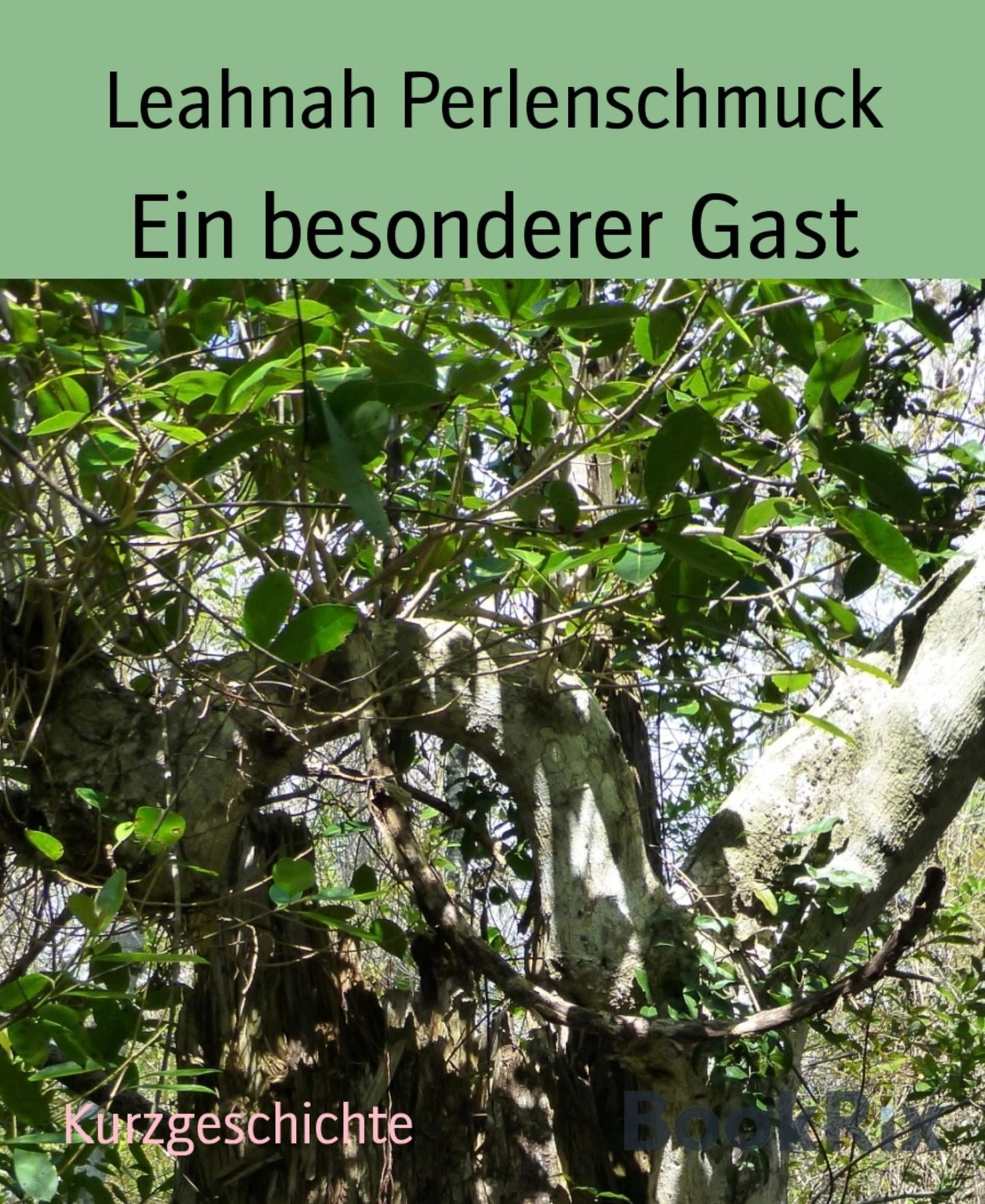 Ein besonderer Gast: Teilstück aus der Reiseroute einer besonderen Spezie
