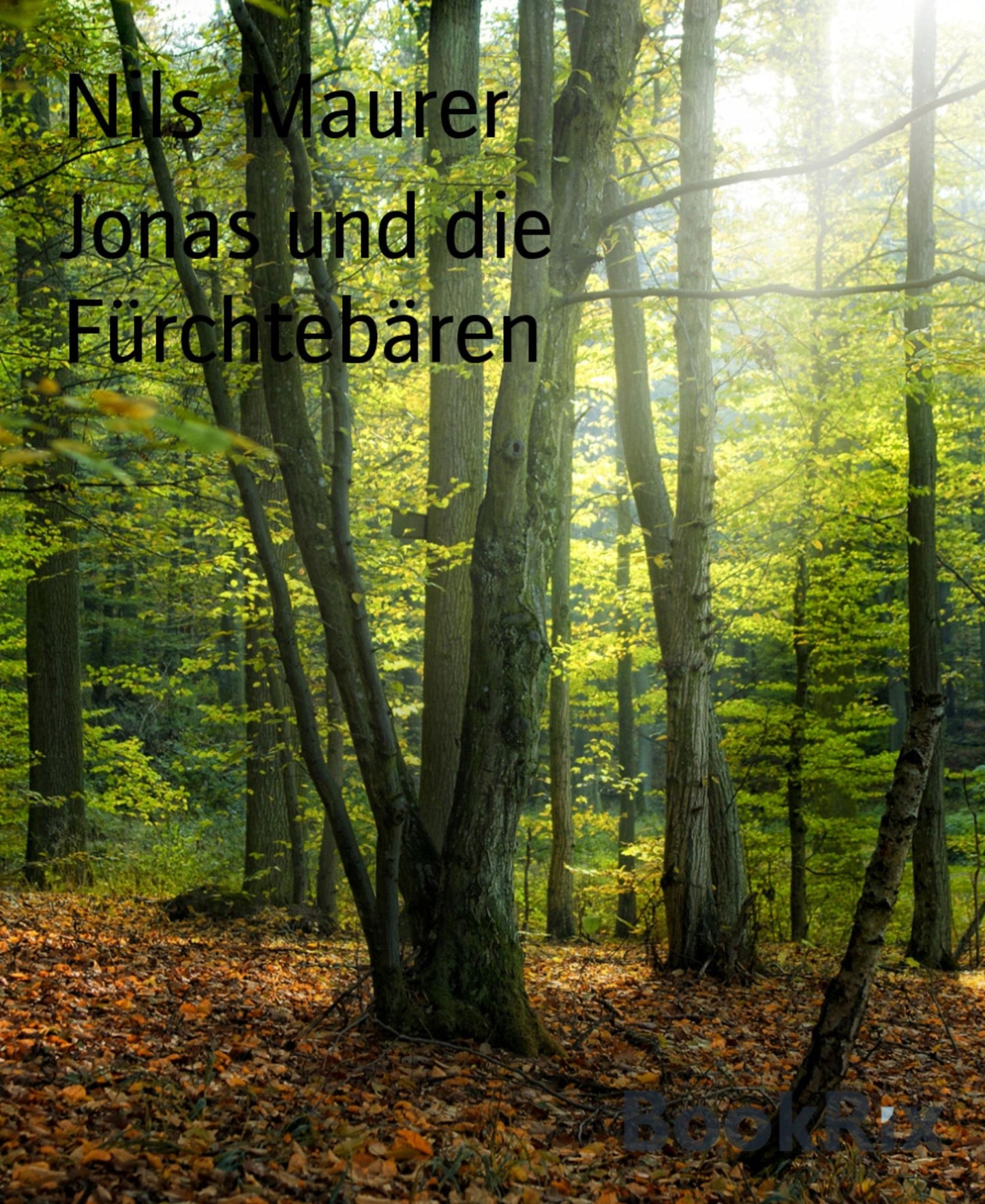 Jonas und die Fürchtebären