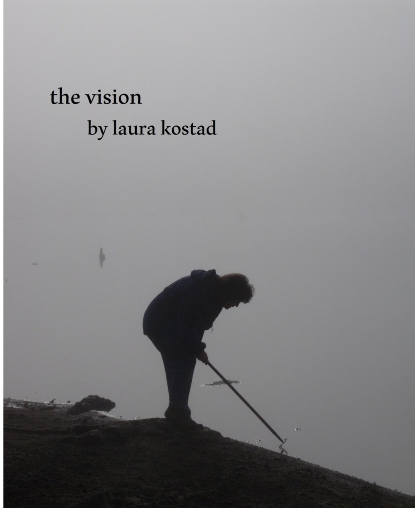 The Vision