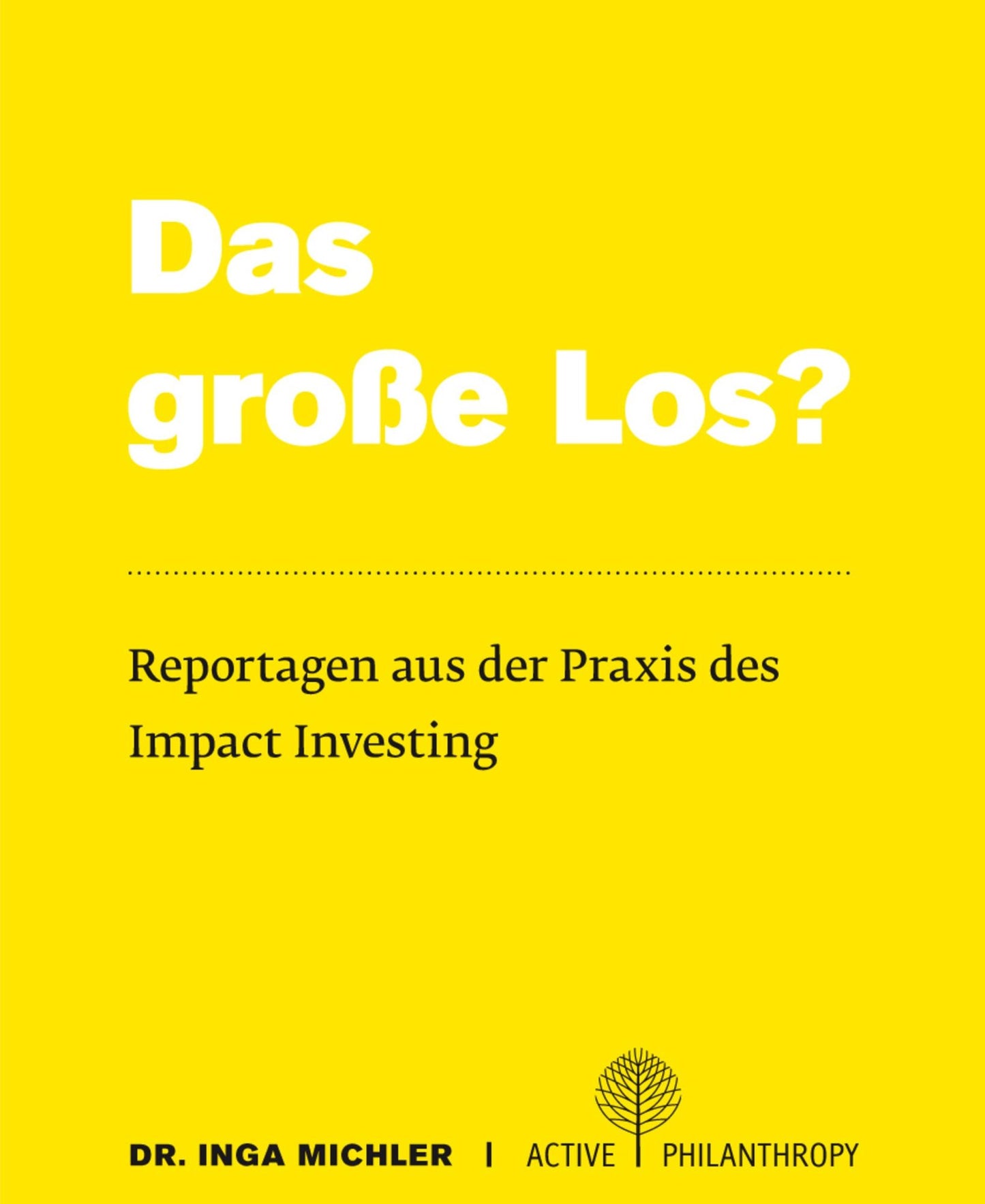 Das große Los? Reportagen aus der Praxis des Impact Investing
