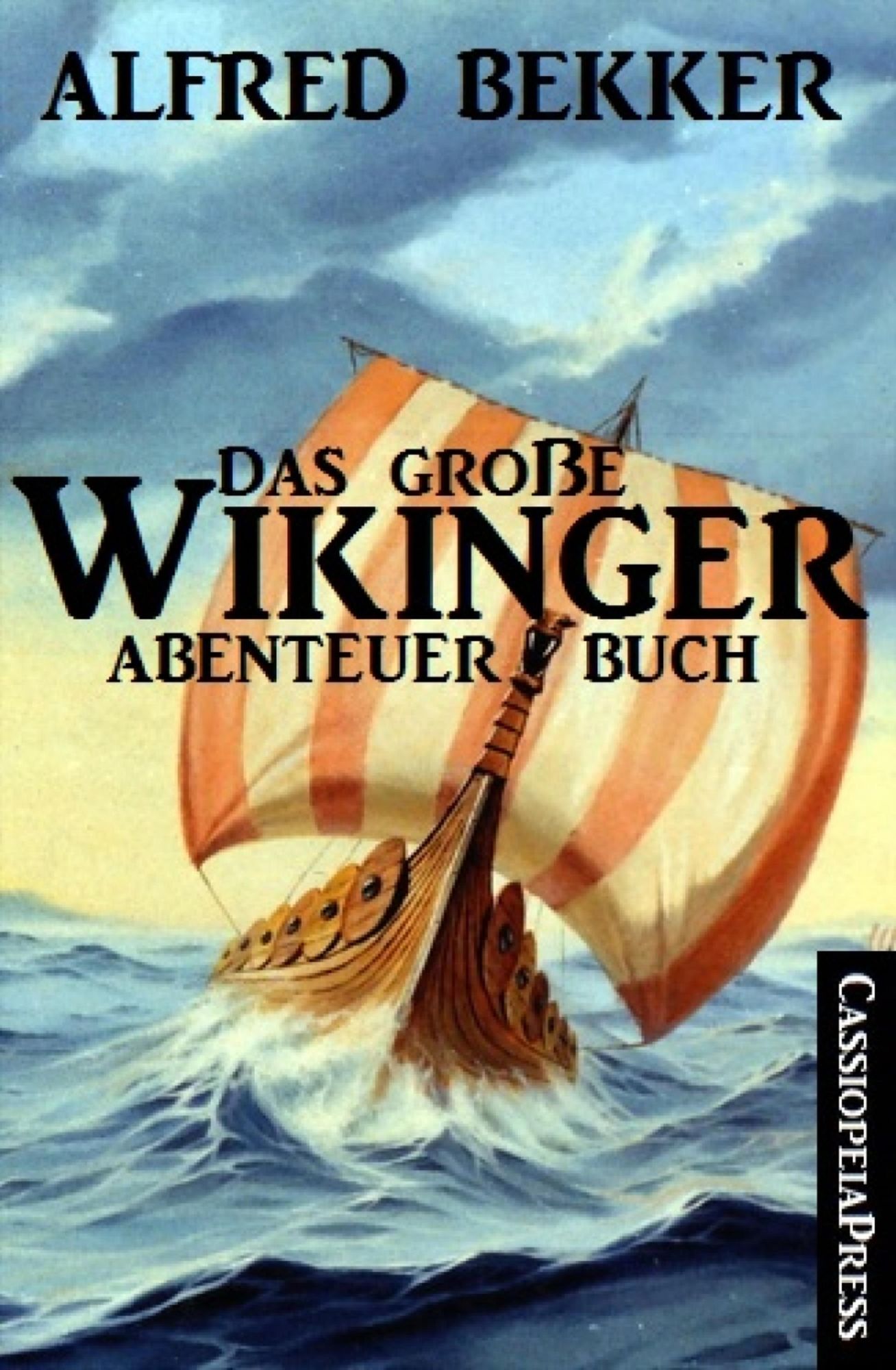 Das große Wikinger Abenteuer Buch: Cassiopeiapress Junior