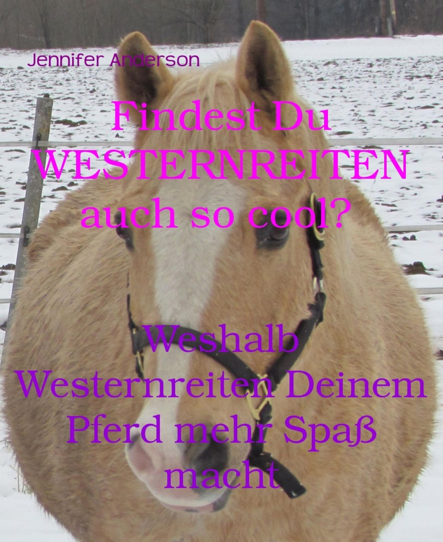 Findest Du WESTERNREITEN auch so cool?: Weshalb Westernreiten Deinem Pferd mehr Spaß macht