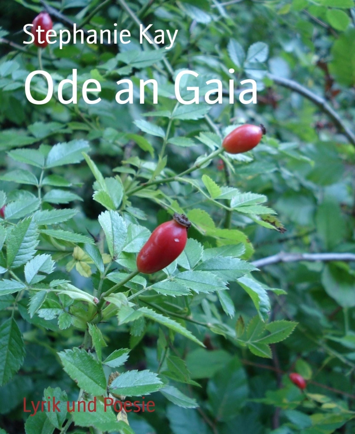 Ode an Gaia
