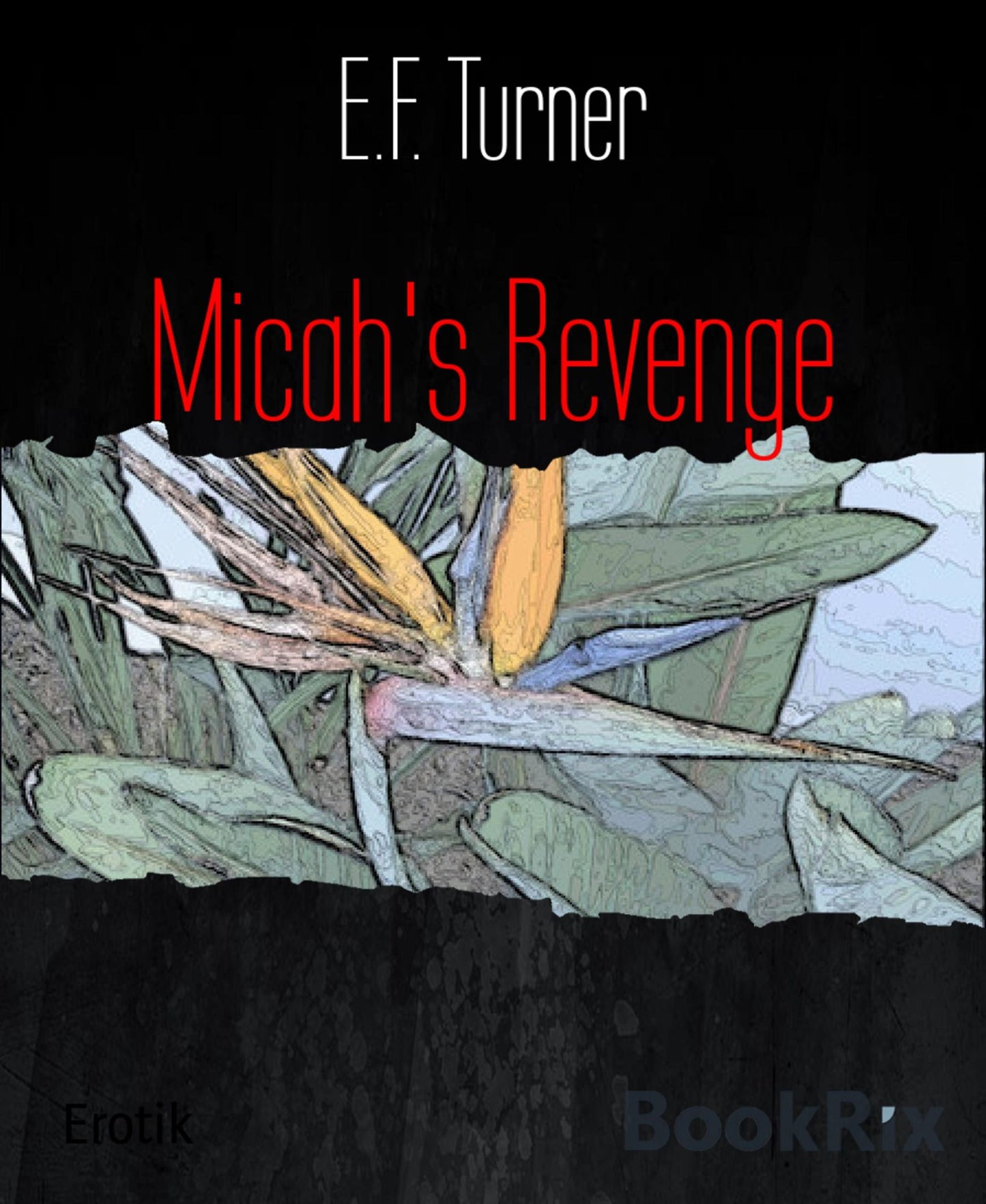 Micah's Revenge