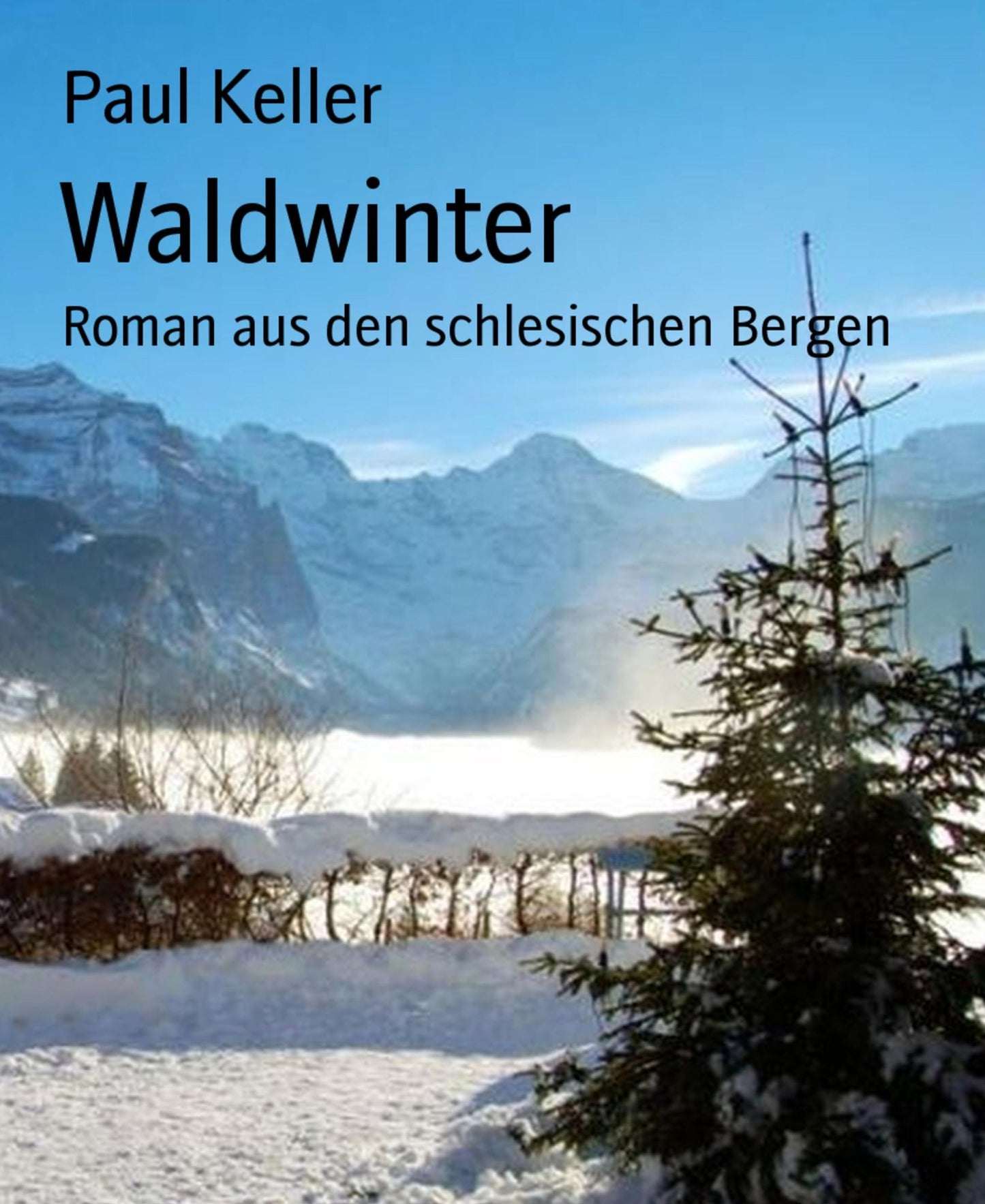 Waldwinter: Roman aus den schlesischen Bergen