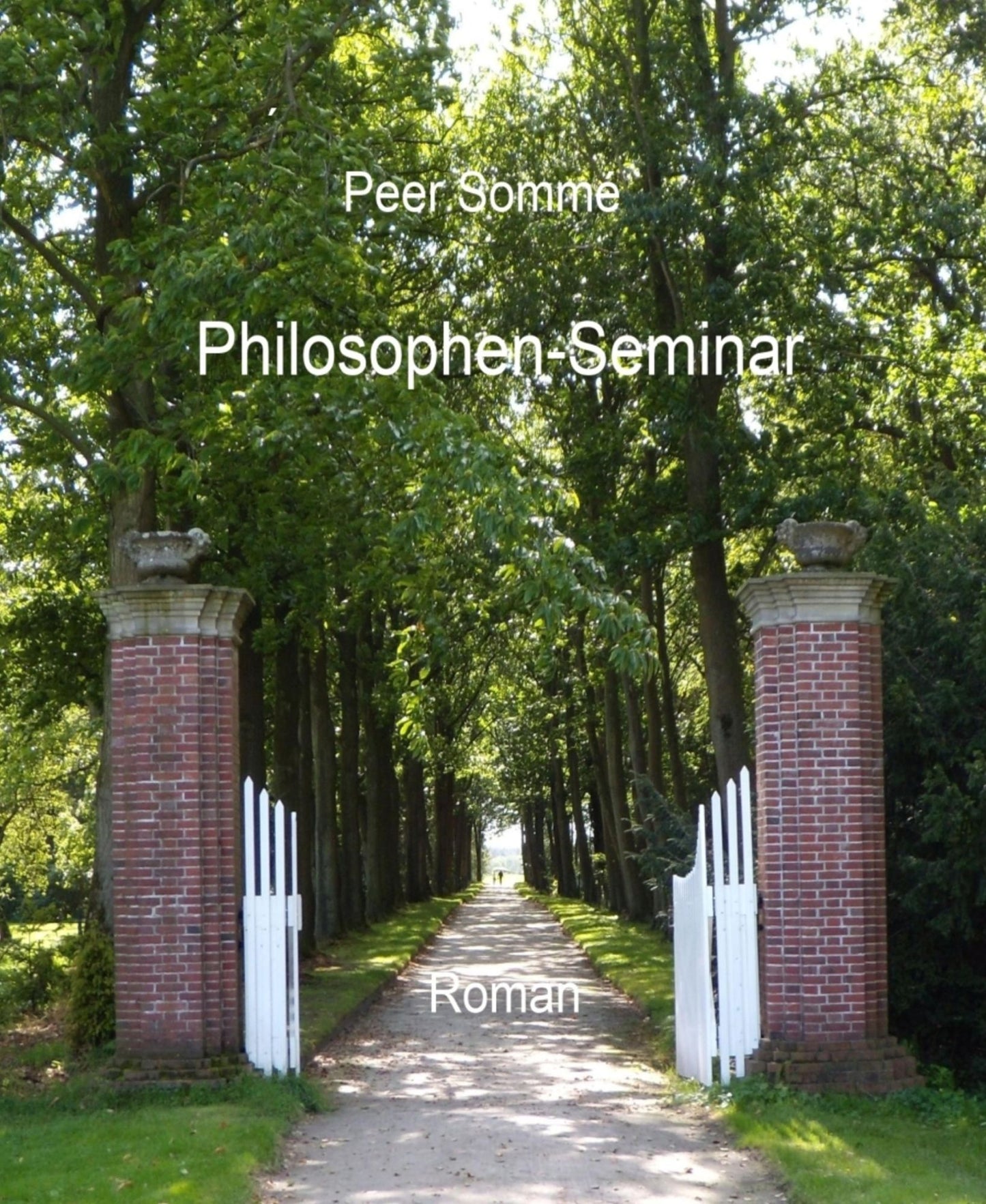 Philosophen-Seminar: Roman