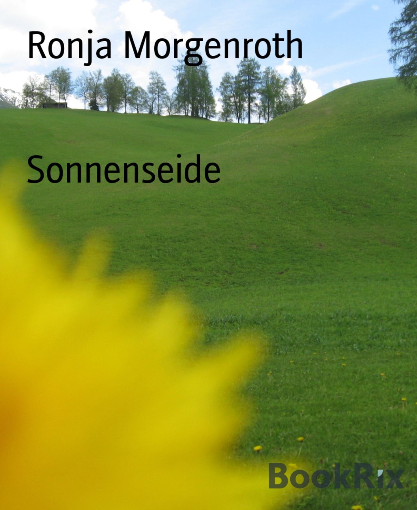 Sonnenseide: Gedichte die das Leben schrieb