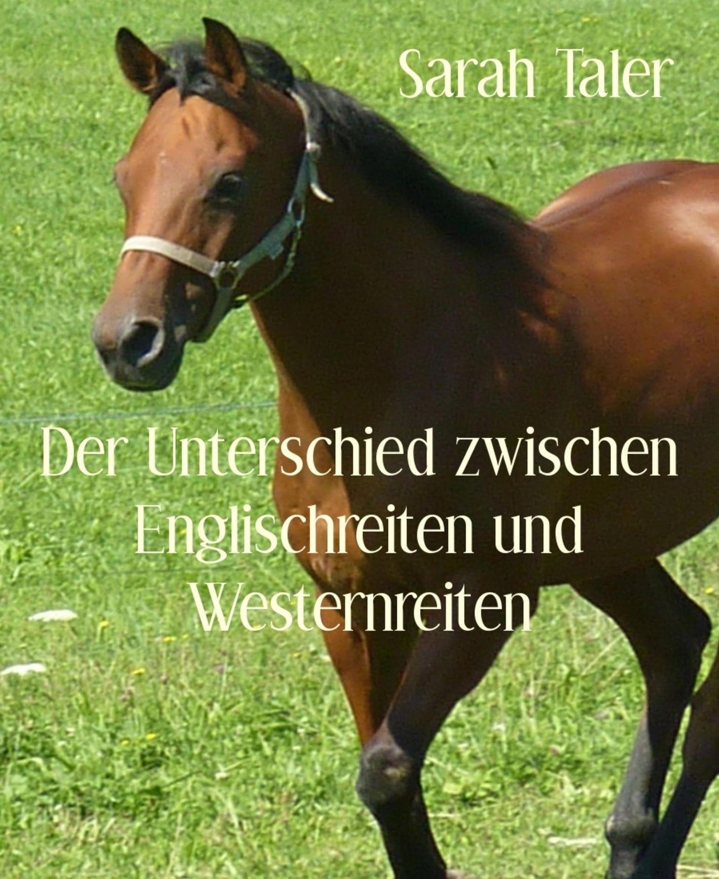 Der Unterschied zwischen Englischreiten und Westernreiten