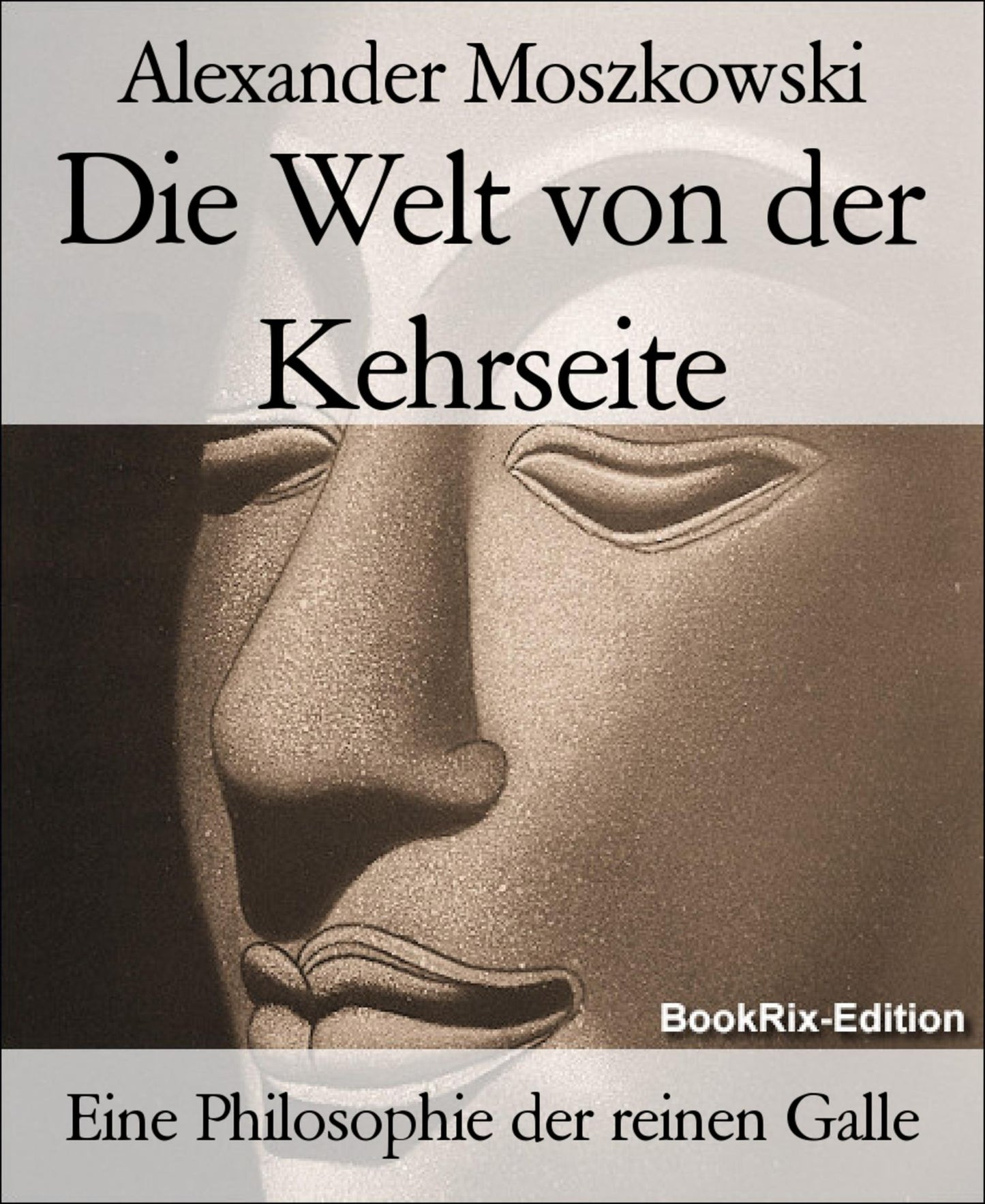 Die Welt von der Kehrseite: Eine Philosophie der reinen Galle