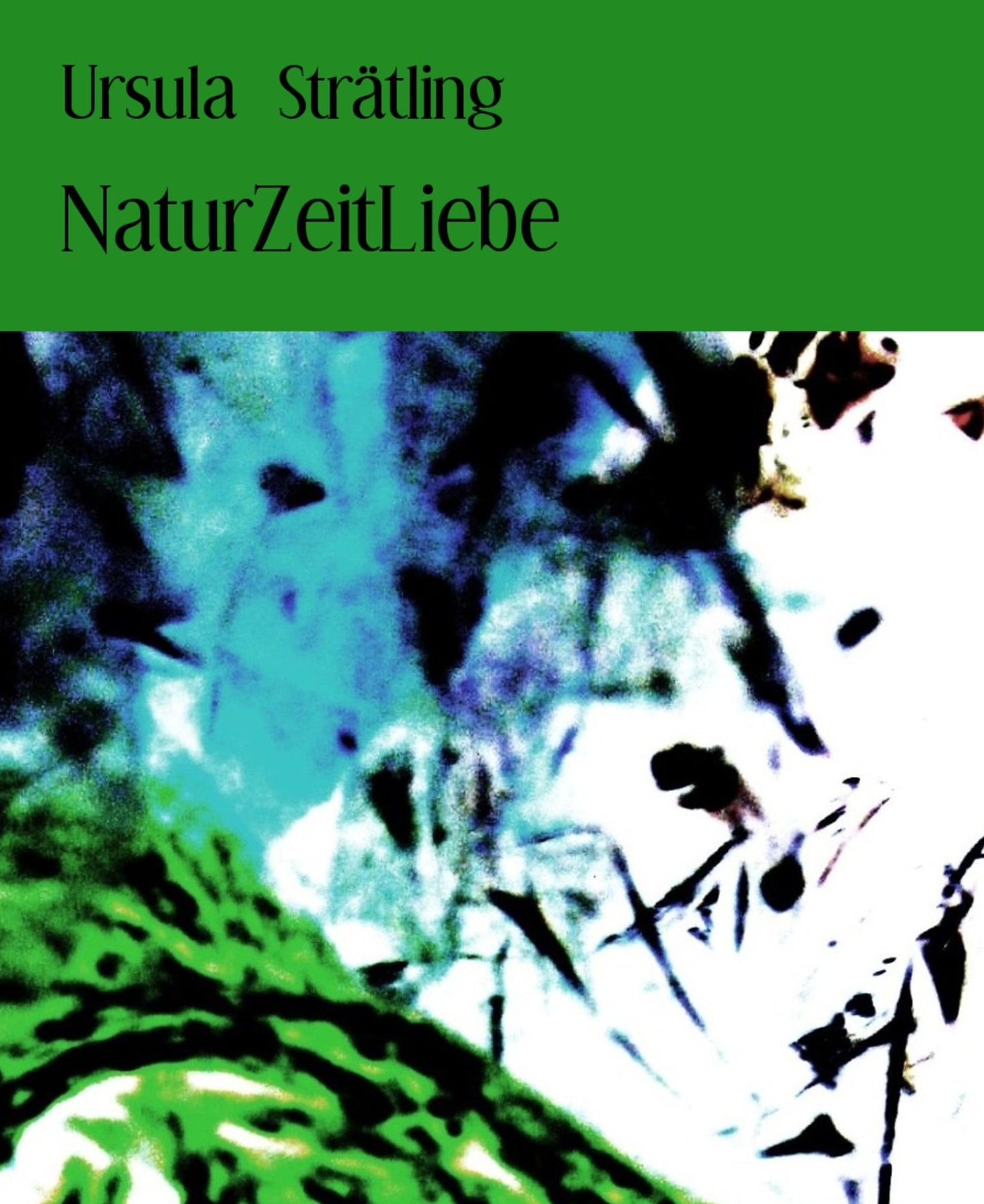 NaturZeitLiebe: 33 Gedichte