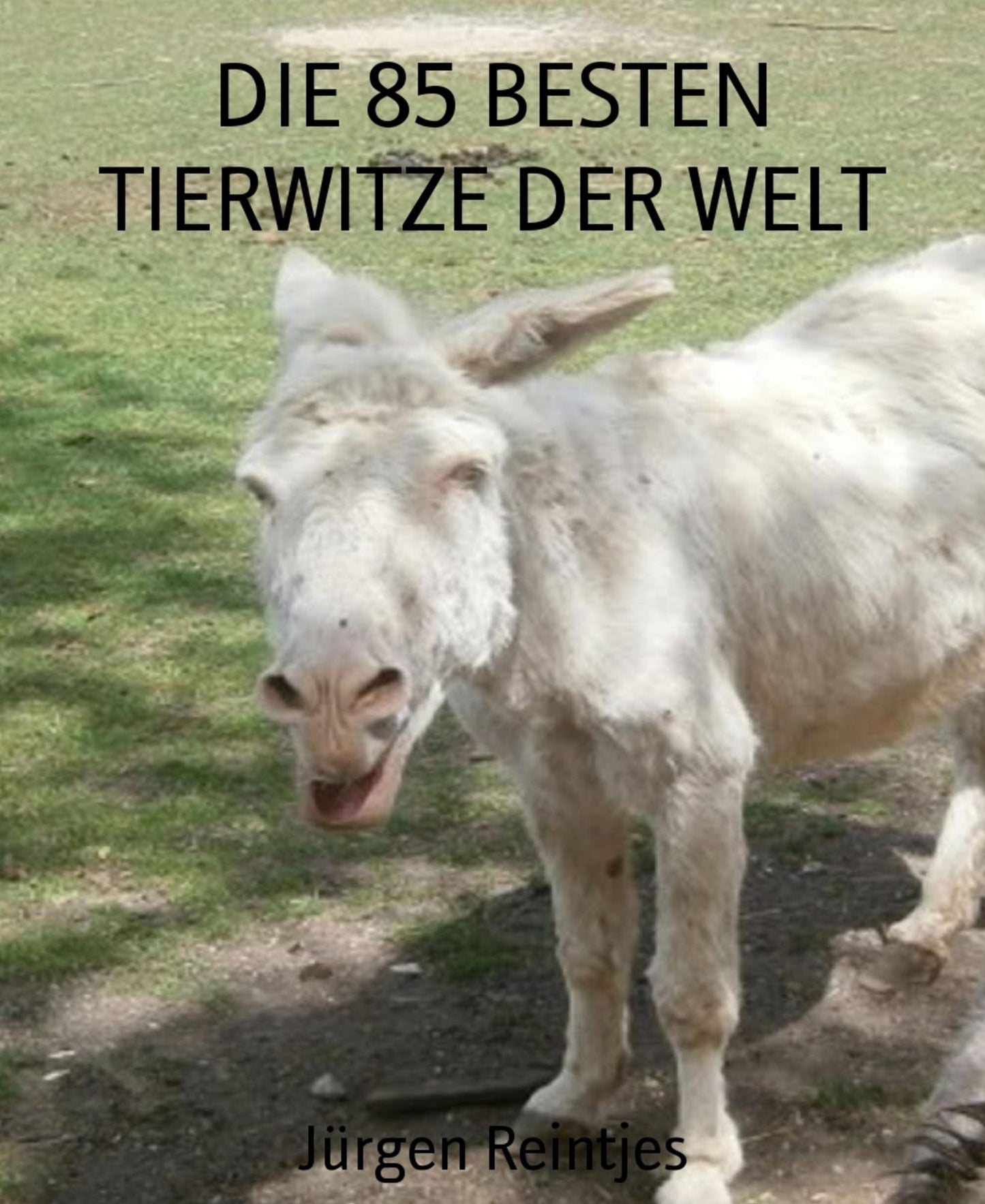 DIE 85 BESTEN TIERWITZE DER WELT: Wie Tiere uns zum Lachen bringen