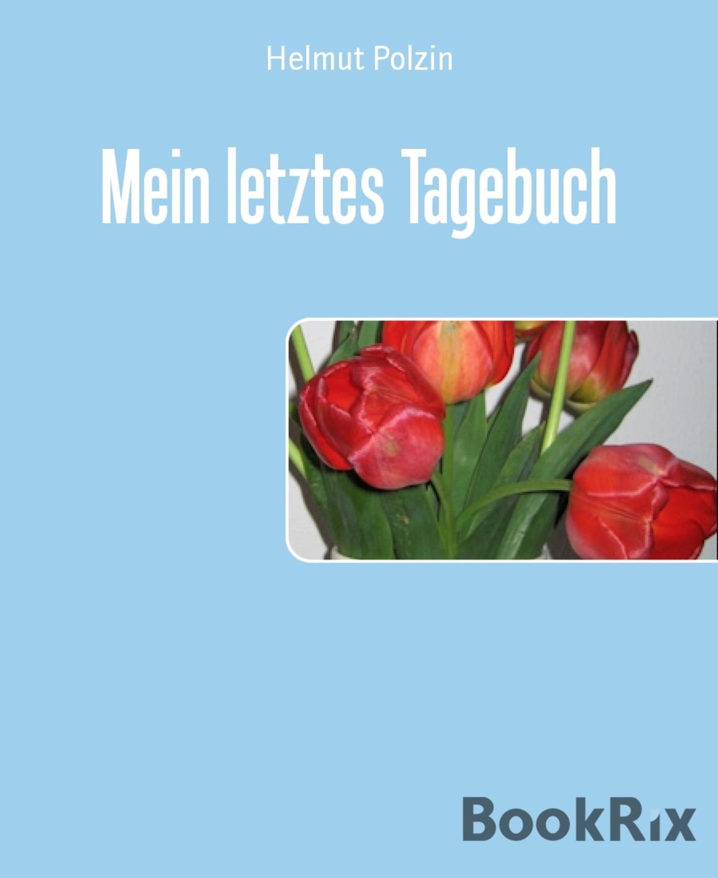 Mein letztes Tagebuch: Mit Achtzig fing alles an