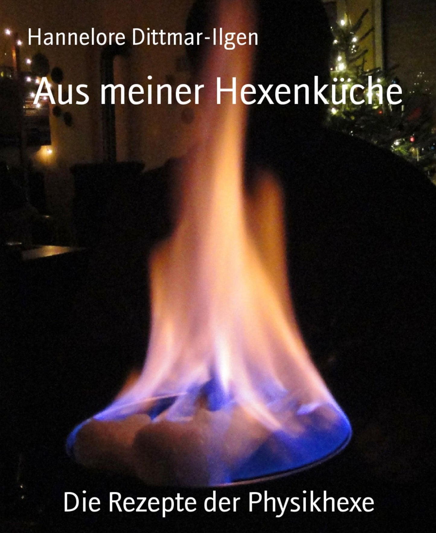 Aus meiner Hexenküche: Die Rezepte der Physikhexe