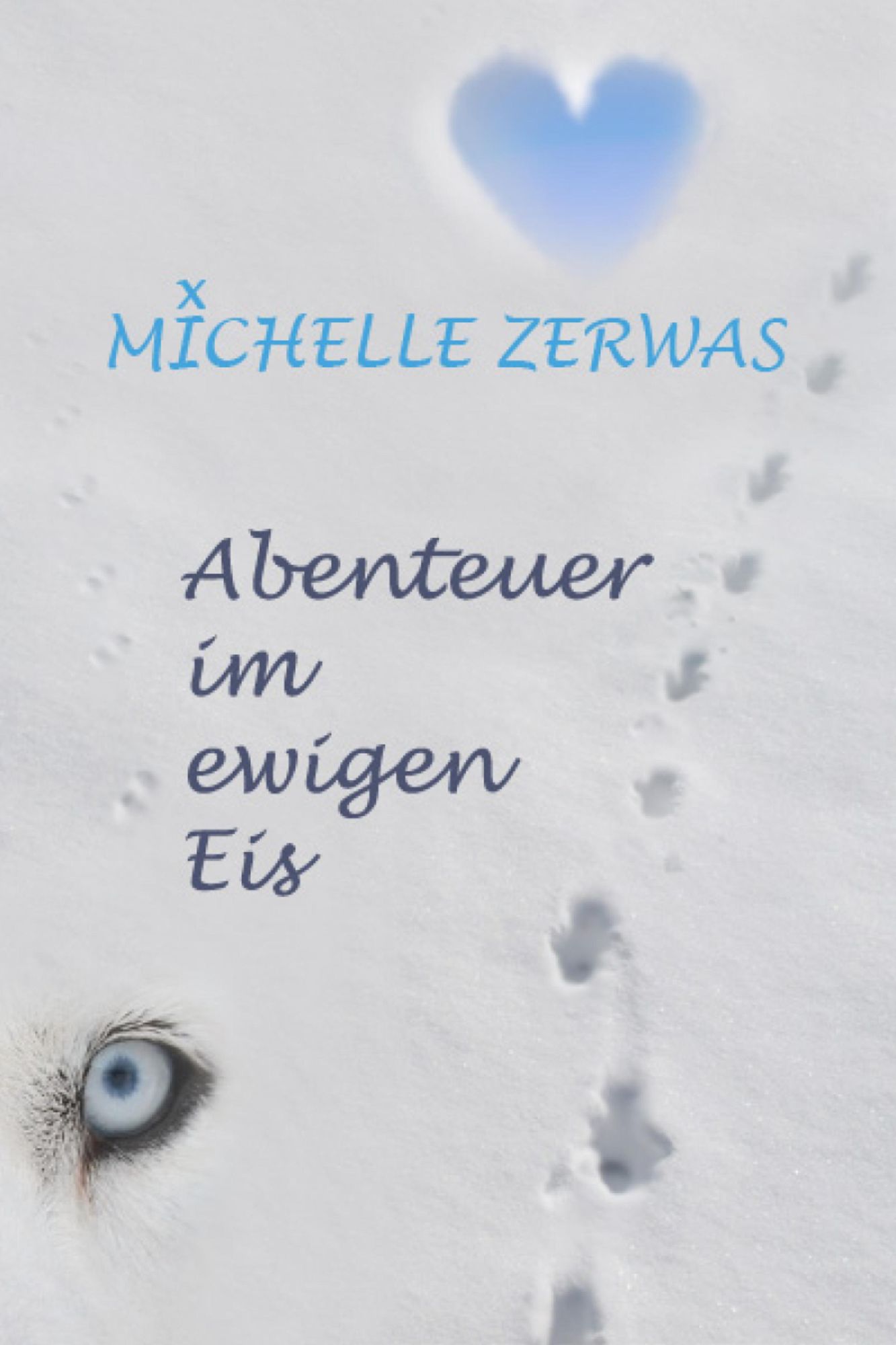 Abenteuer im ewigen Eis