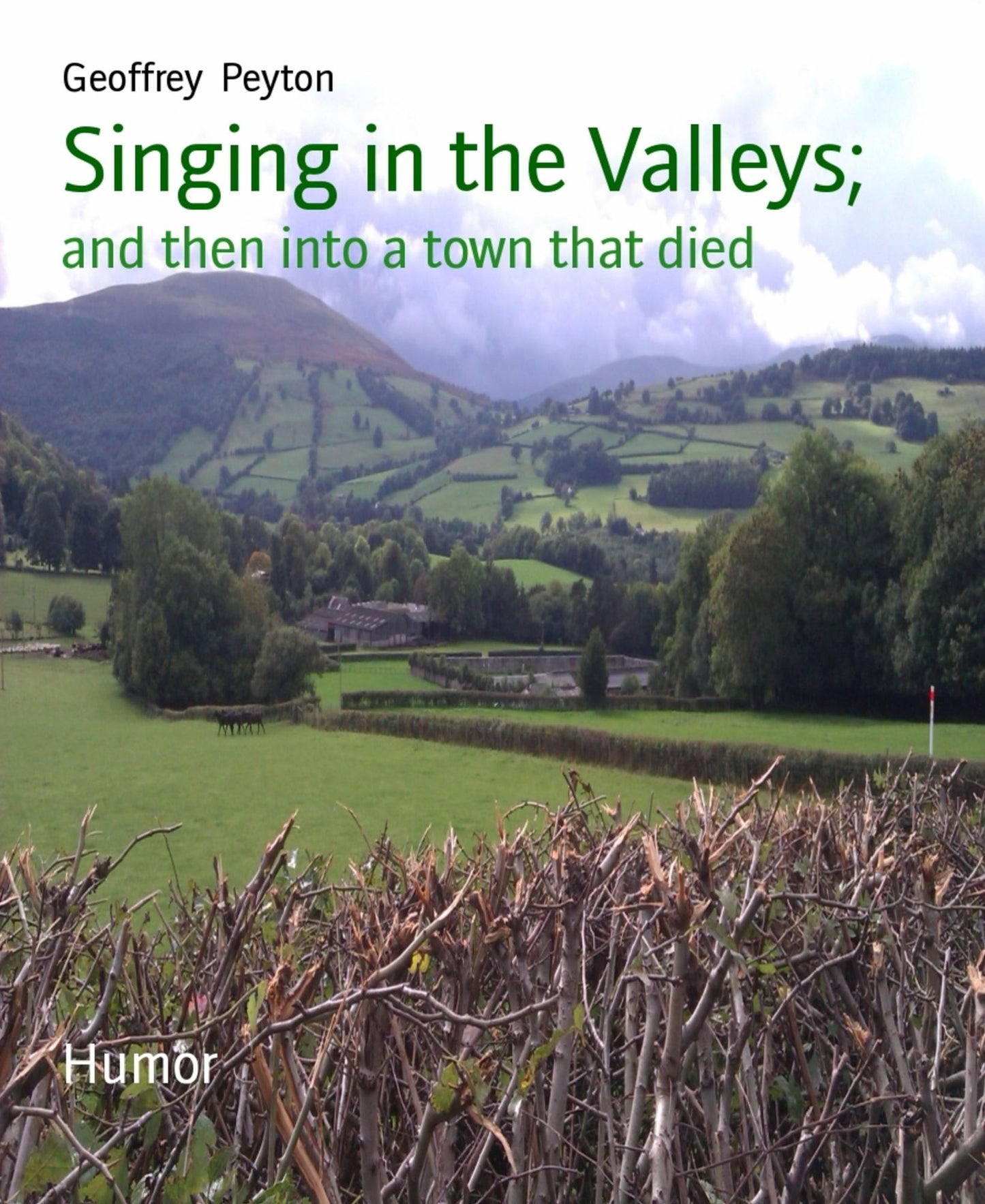 Singing in the Valleys;: and then into a town that died